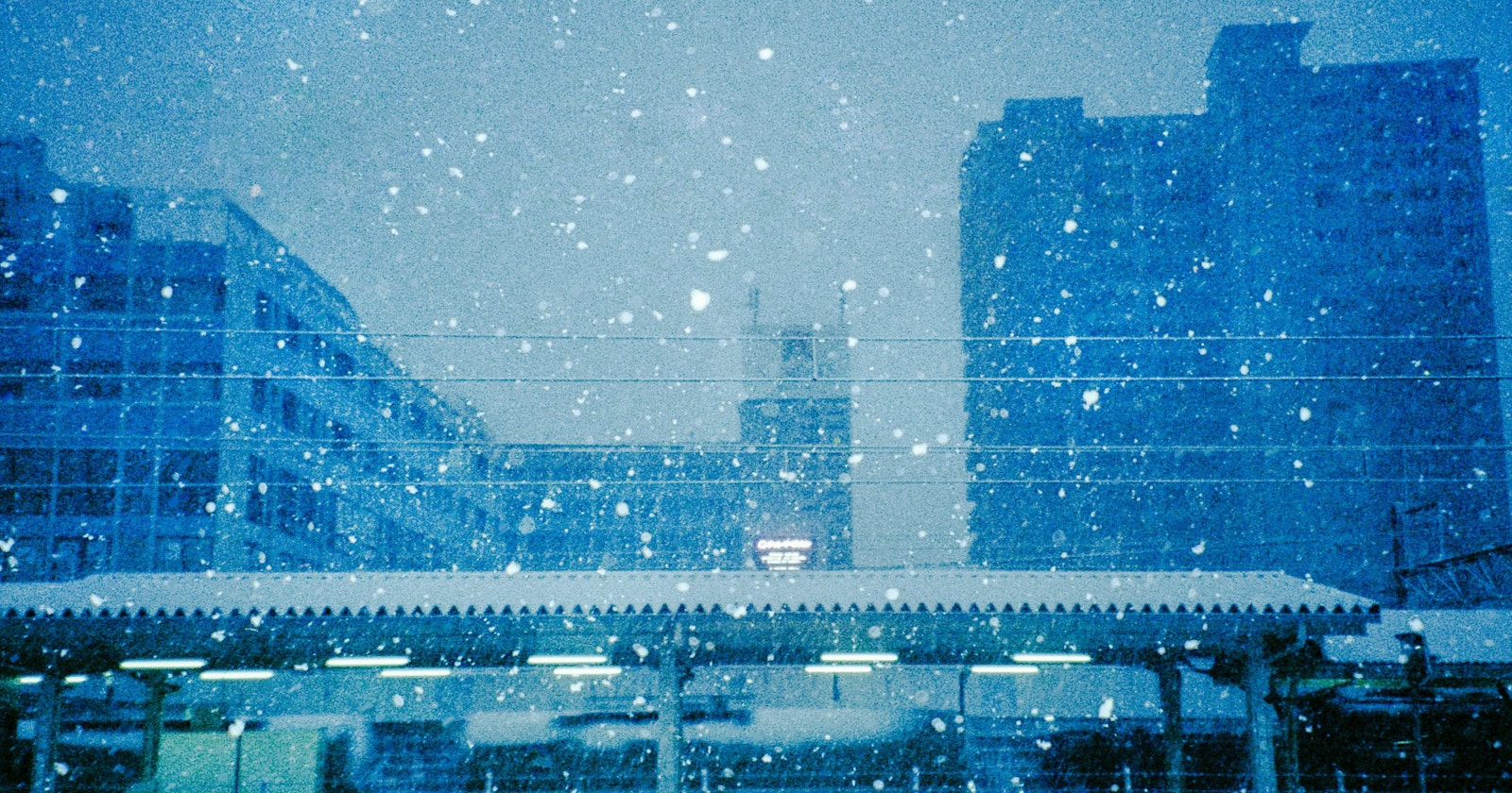 ハマダ ノブヒロが語る | 見えない愛と写る愛 | Nikon FM3A | Knowledge #477