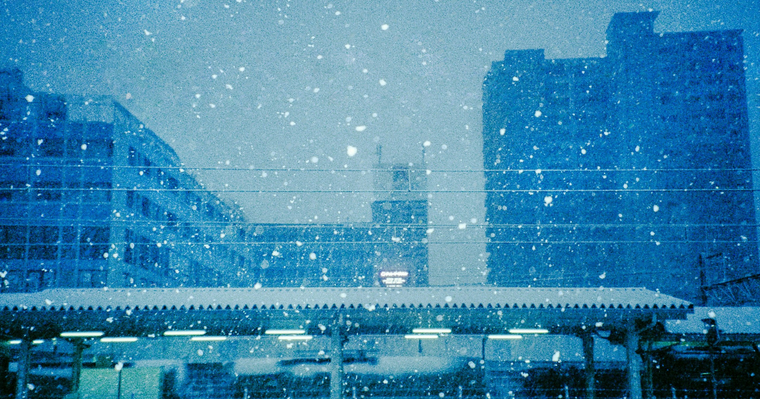 ハマダ ノブヒロが語る | 見えない愛と写る愛 | Nikon FM3A | Knowledge #477
