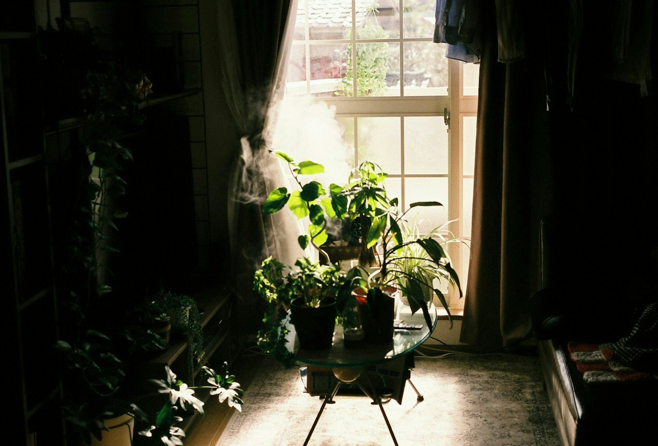 Foto di Partofmyworld