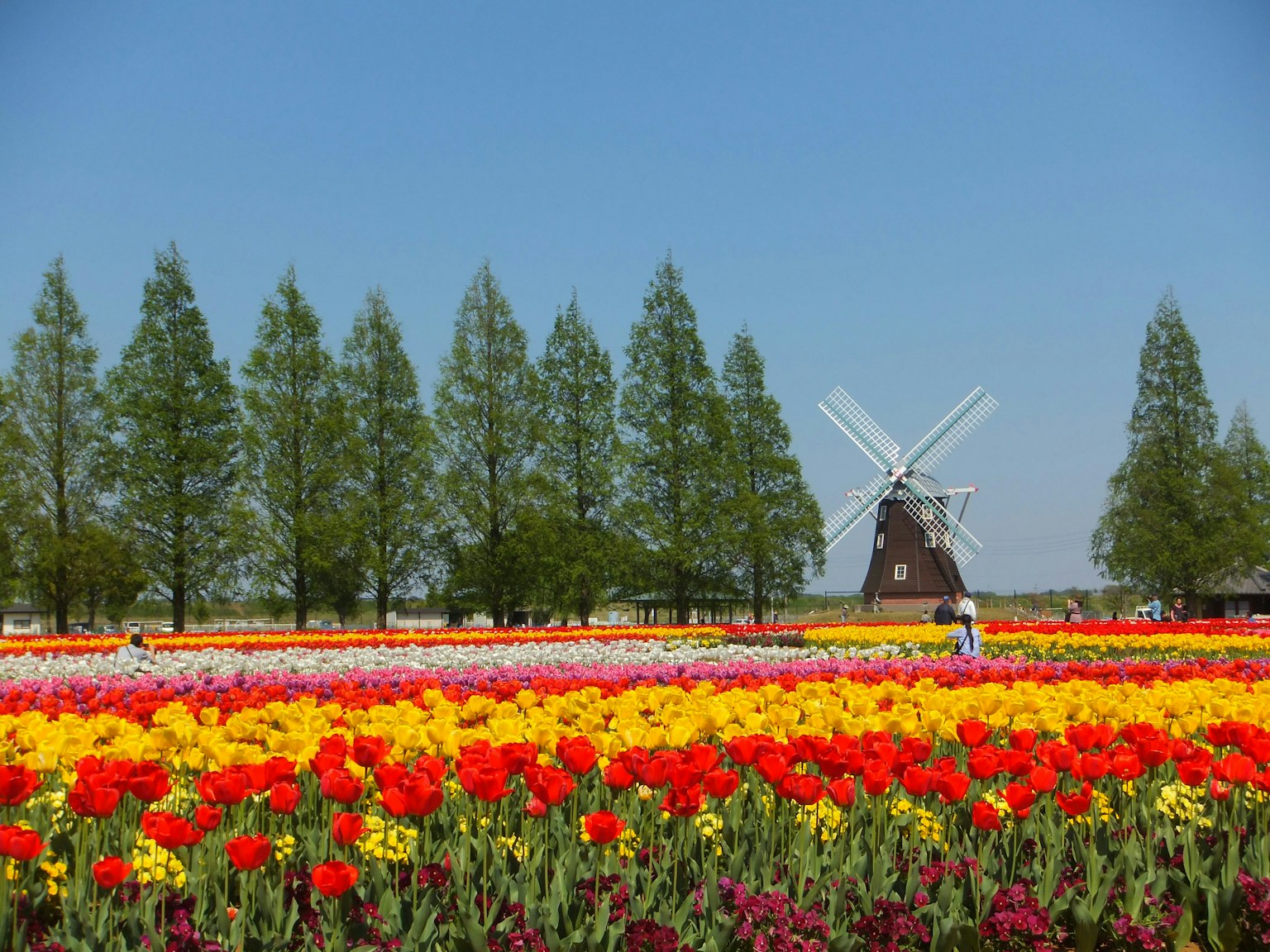 2025-04-pan-focus-tips-image-8