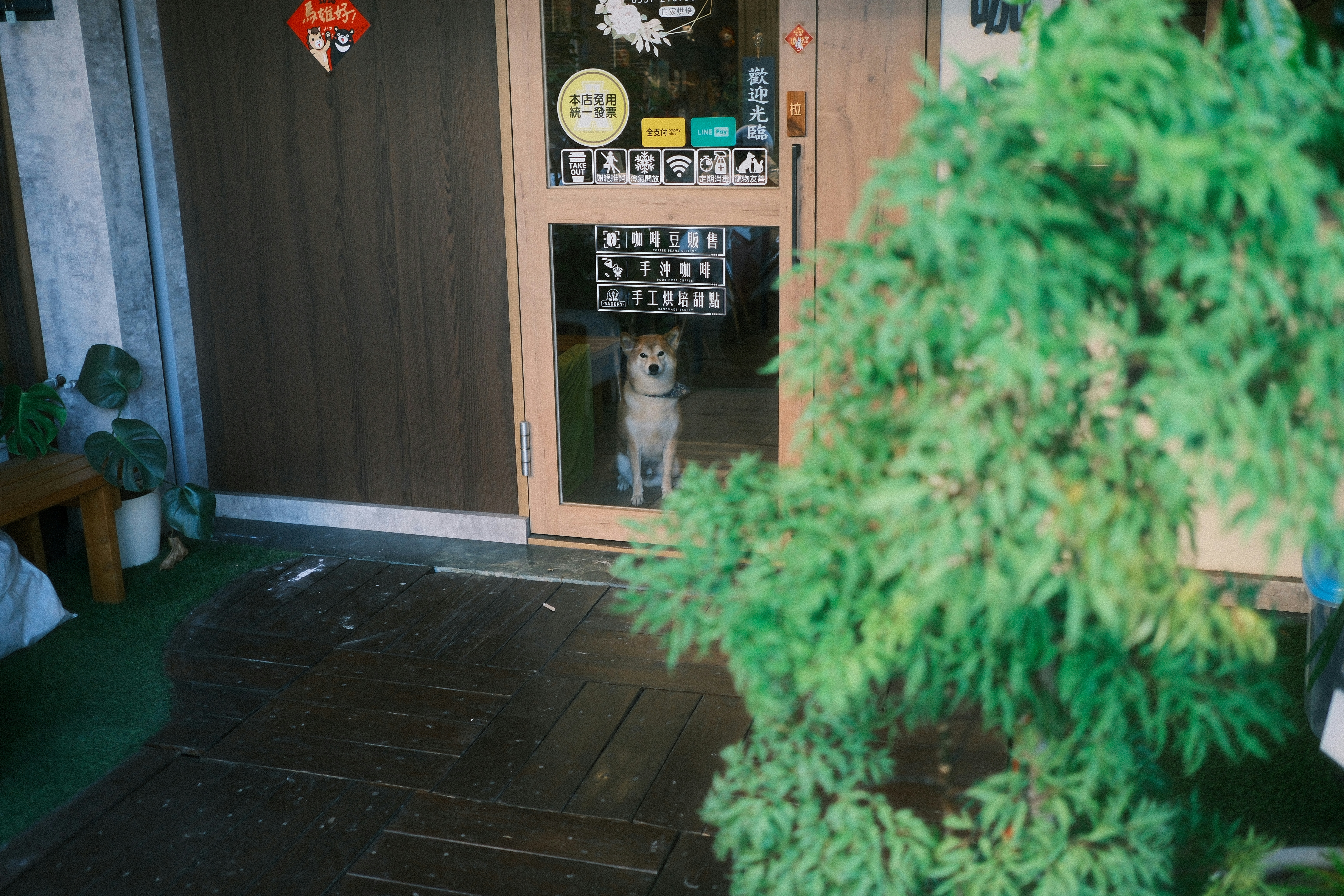 Photo by robot__photo