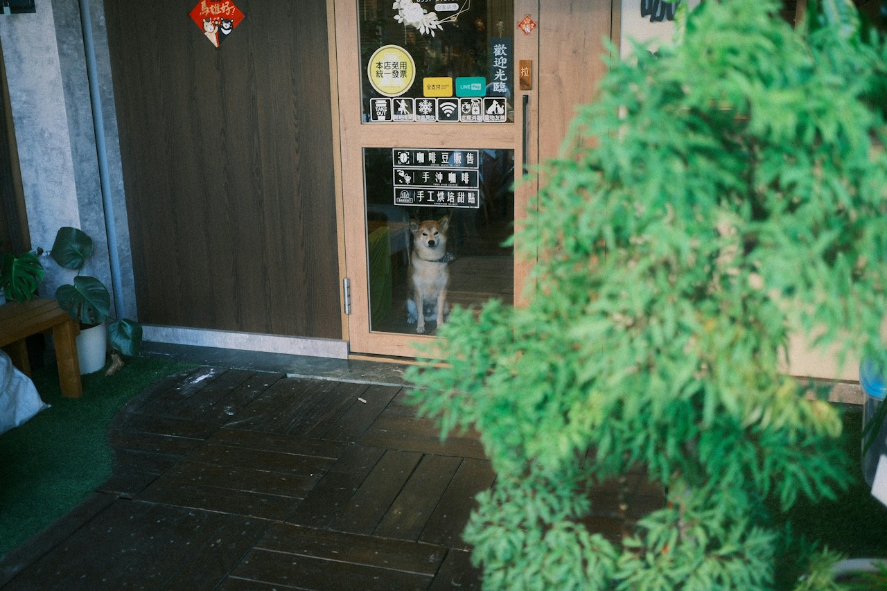 Photo by robot__photo