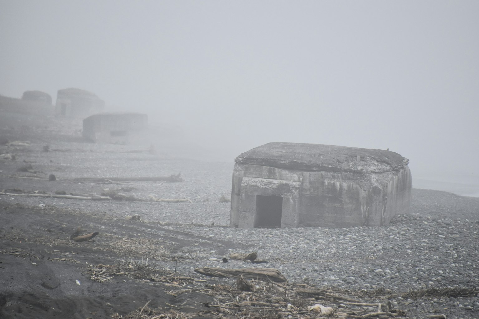 2024-10-halloween-night-photography-image-13