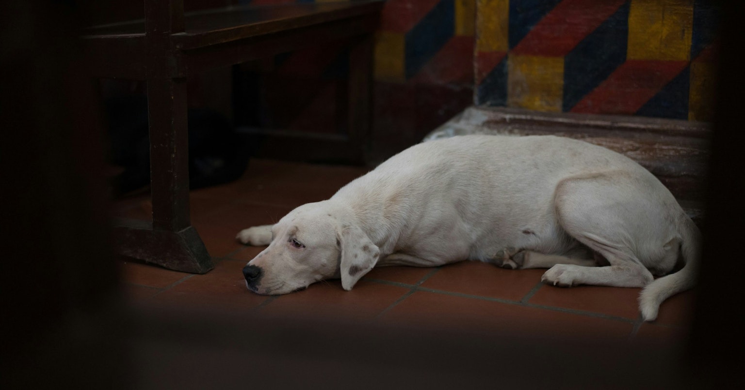 2025-05-megapixels-not-equal-image-quality-cover-image