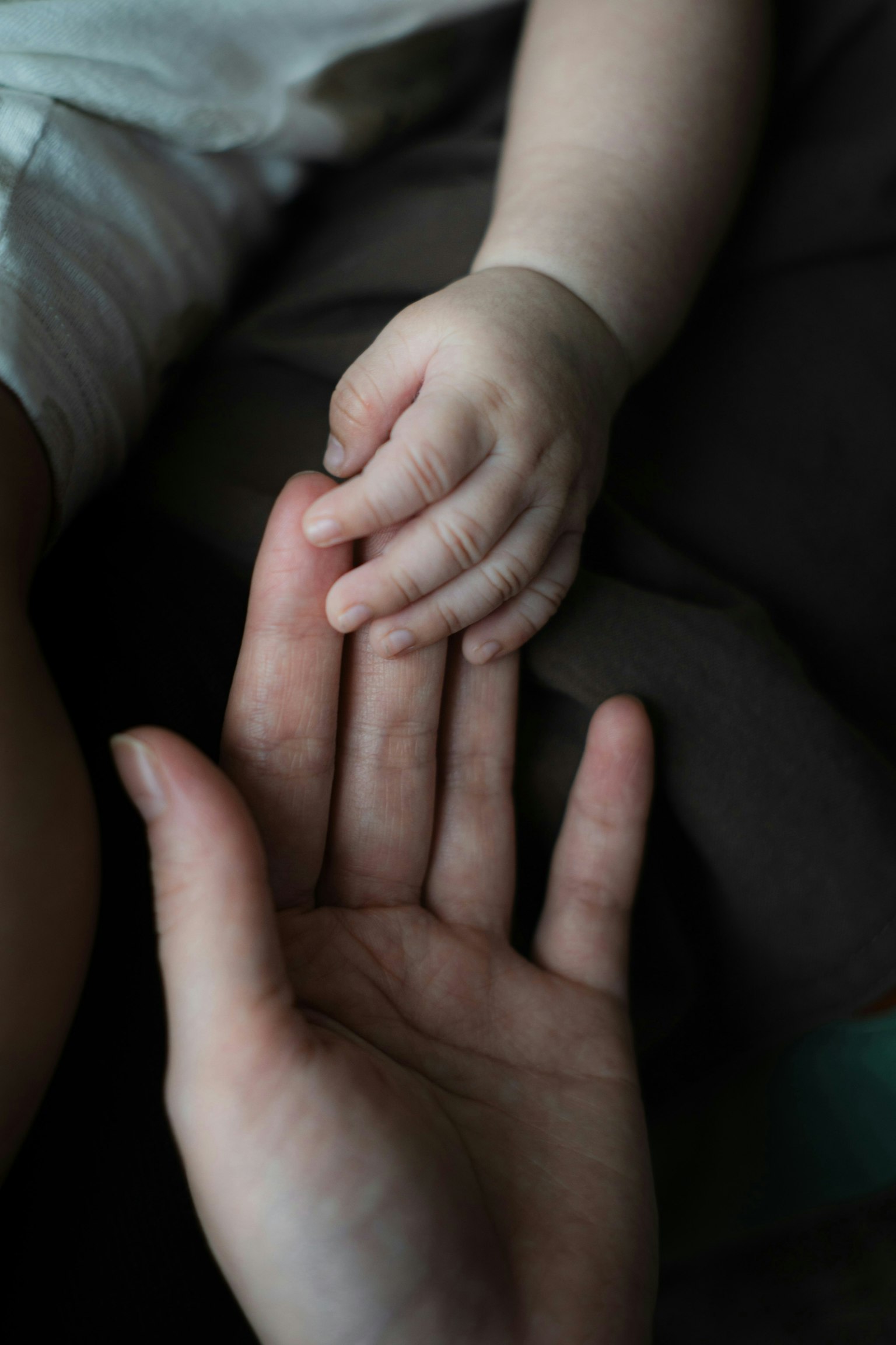 2025-08-emotional-family-photography-image-5