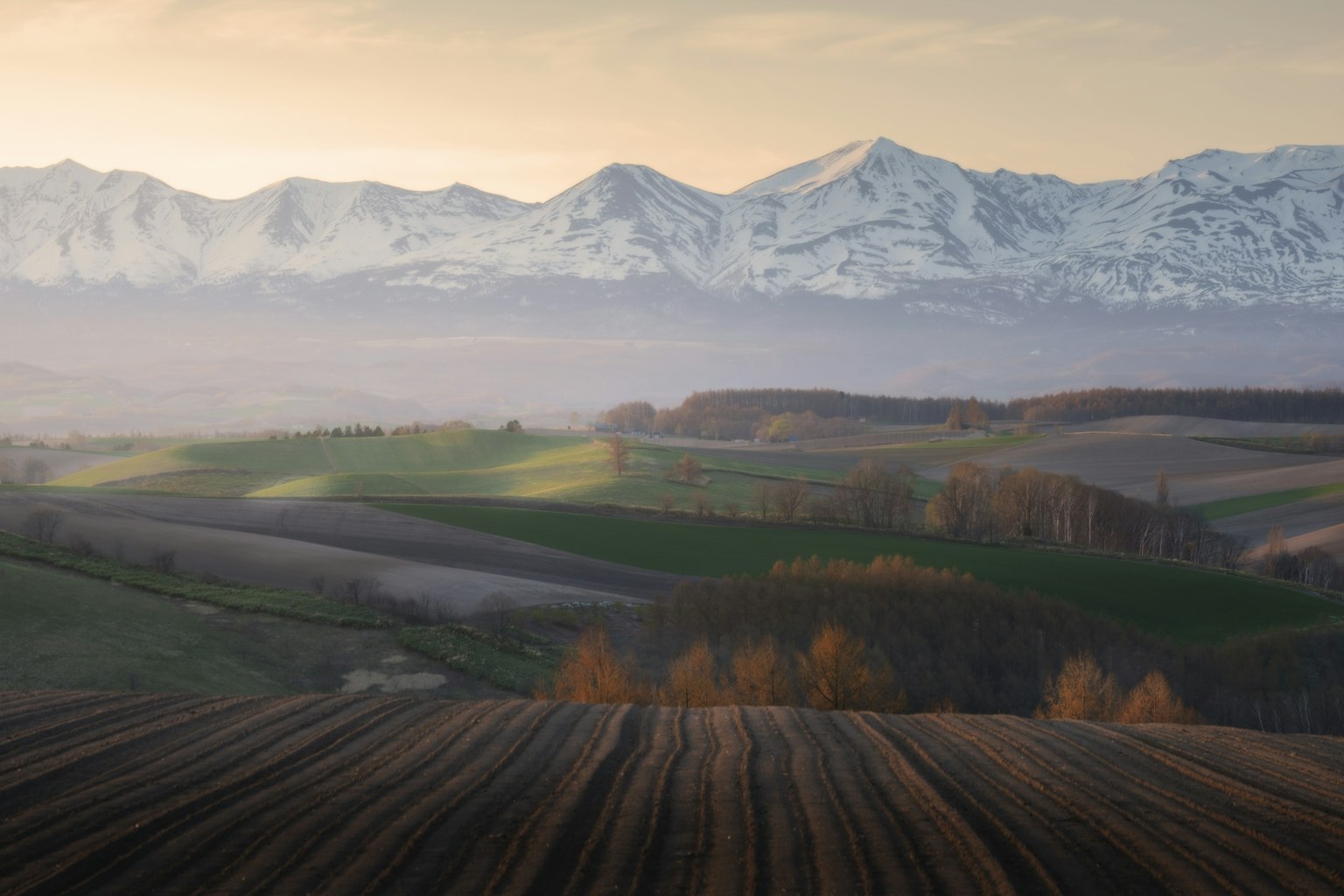 2024-05-adobe-says-ai-image-8