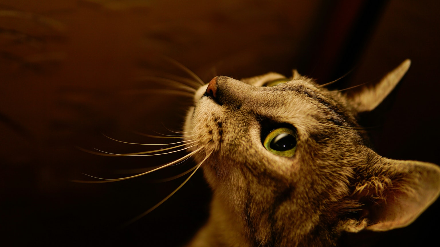 2024-08-life-in-harmony-image-14