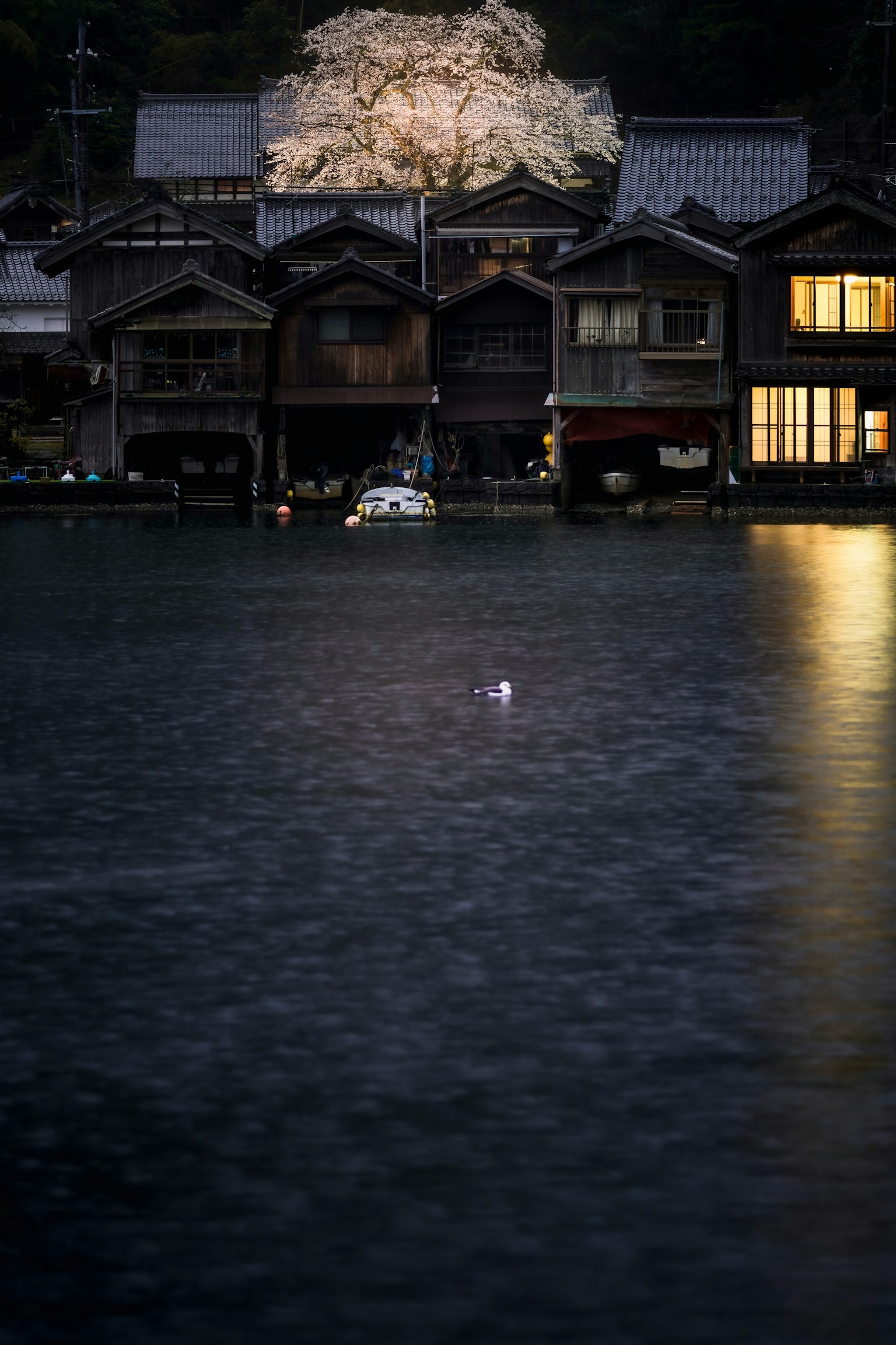 2023-09-scenery-left-for-long-time-image-5