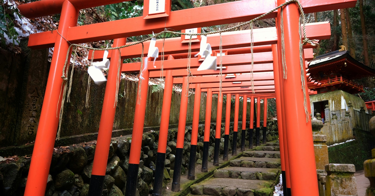 2025-06-depth-cover-image