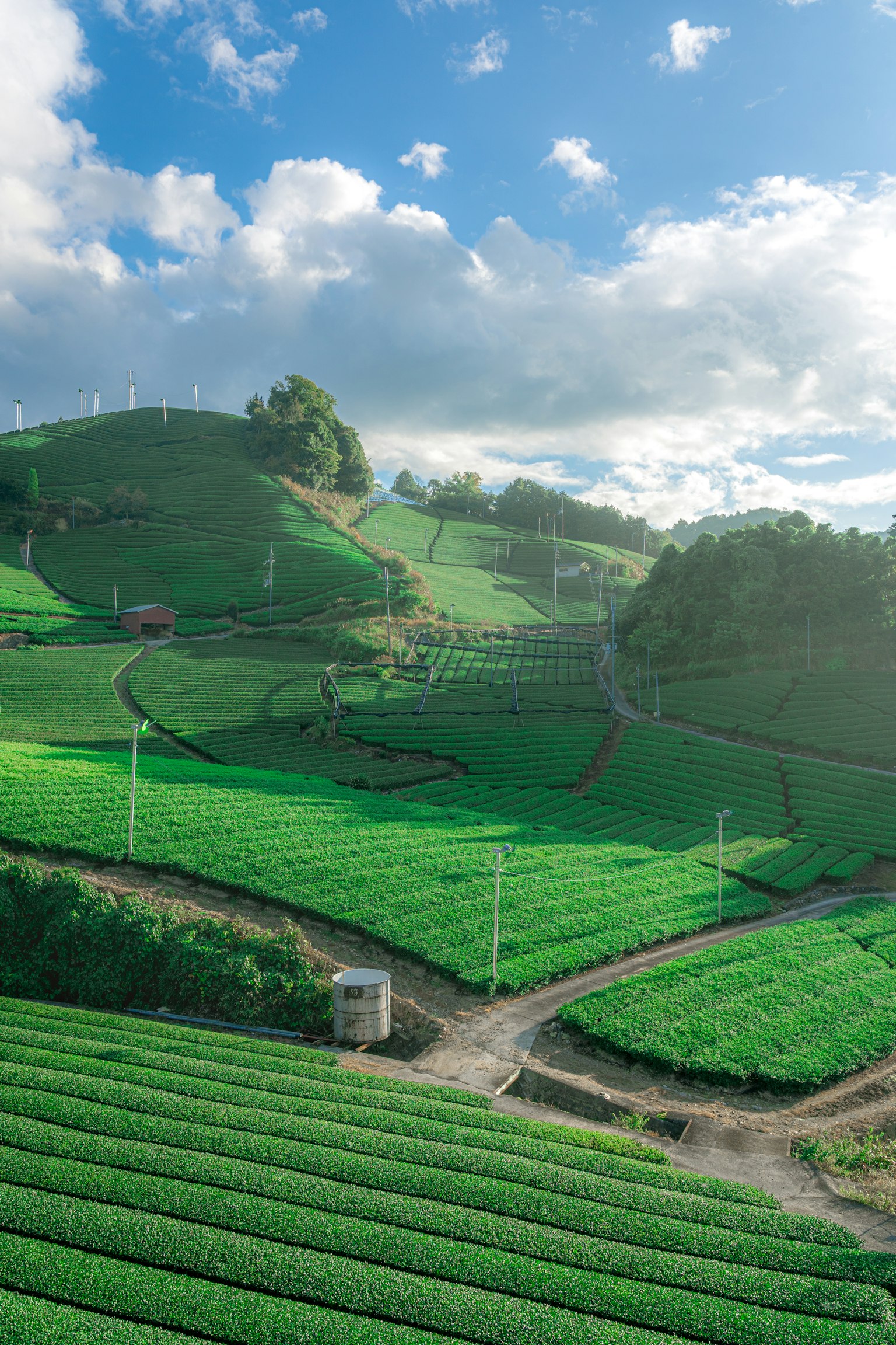 2024-04-inaka-photography-image-10