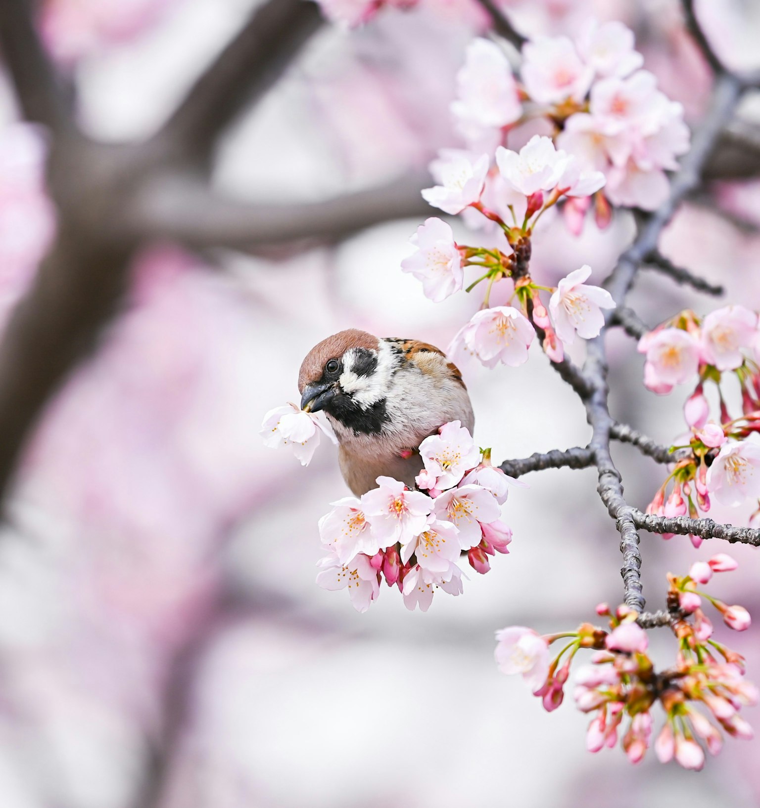 2025-09-seasonal-nature-award-image-11