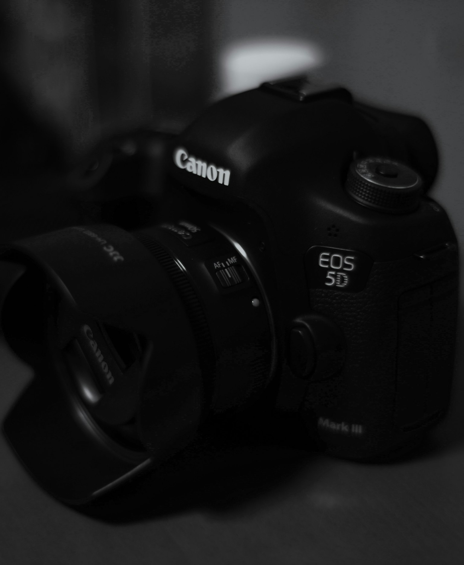 2025-05-canon-camera-logo-design-image-2