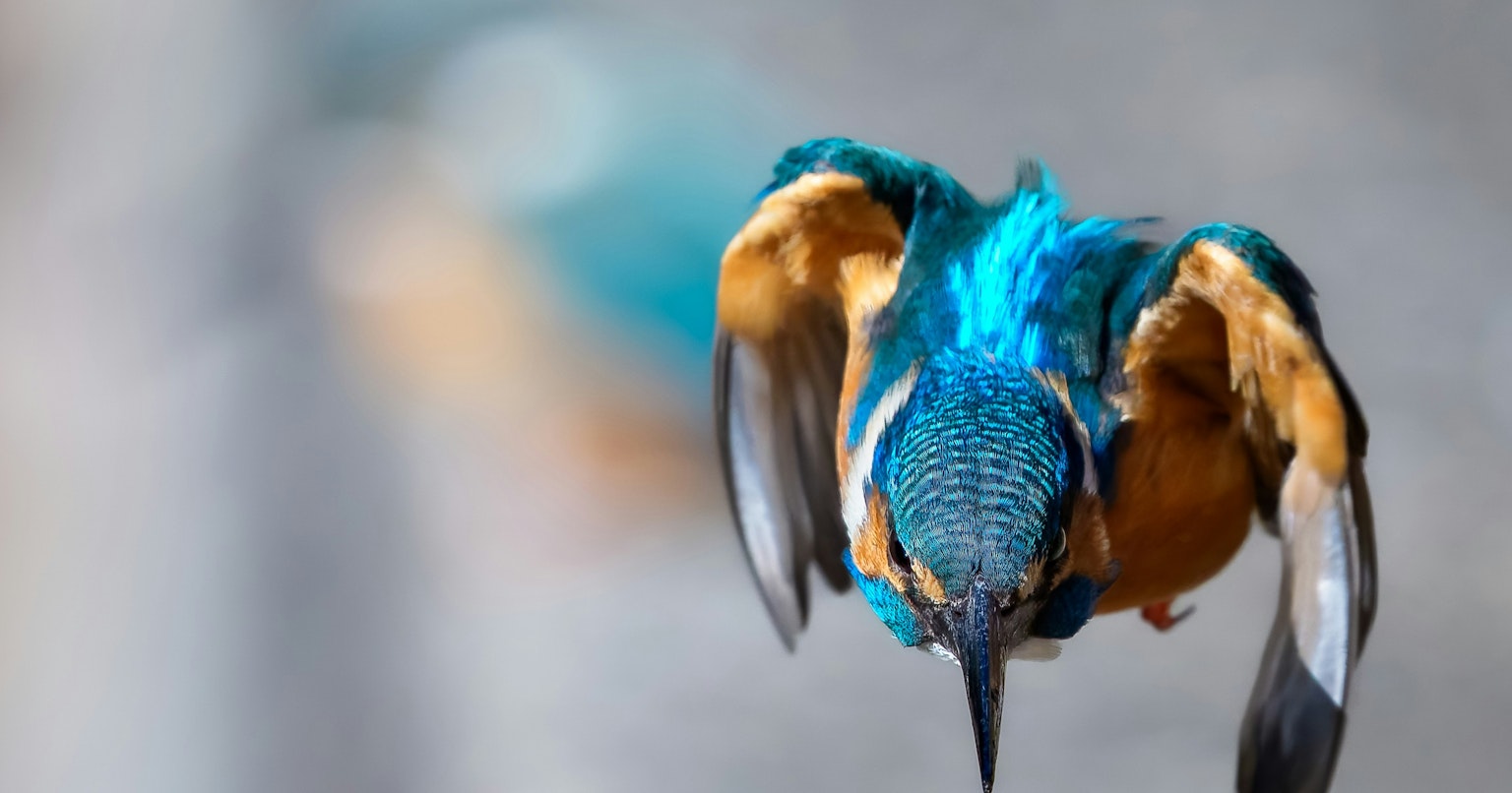 2025-04-pick-up-photos-no-84-88-cover-image