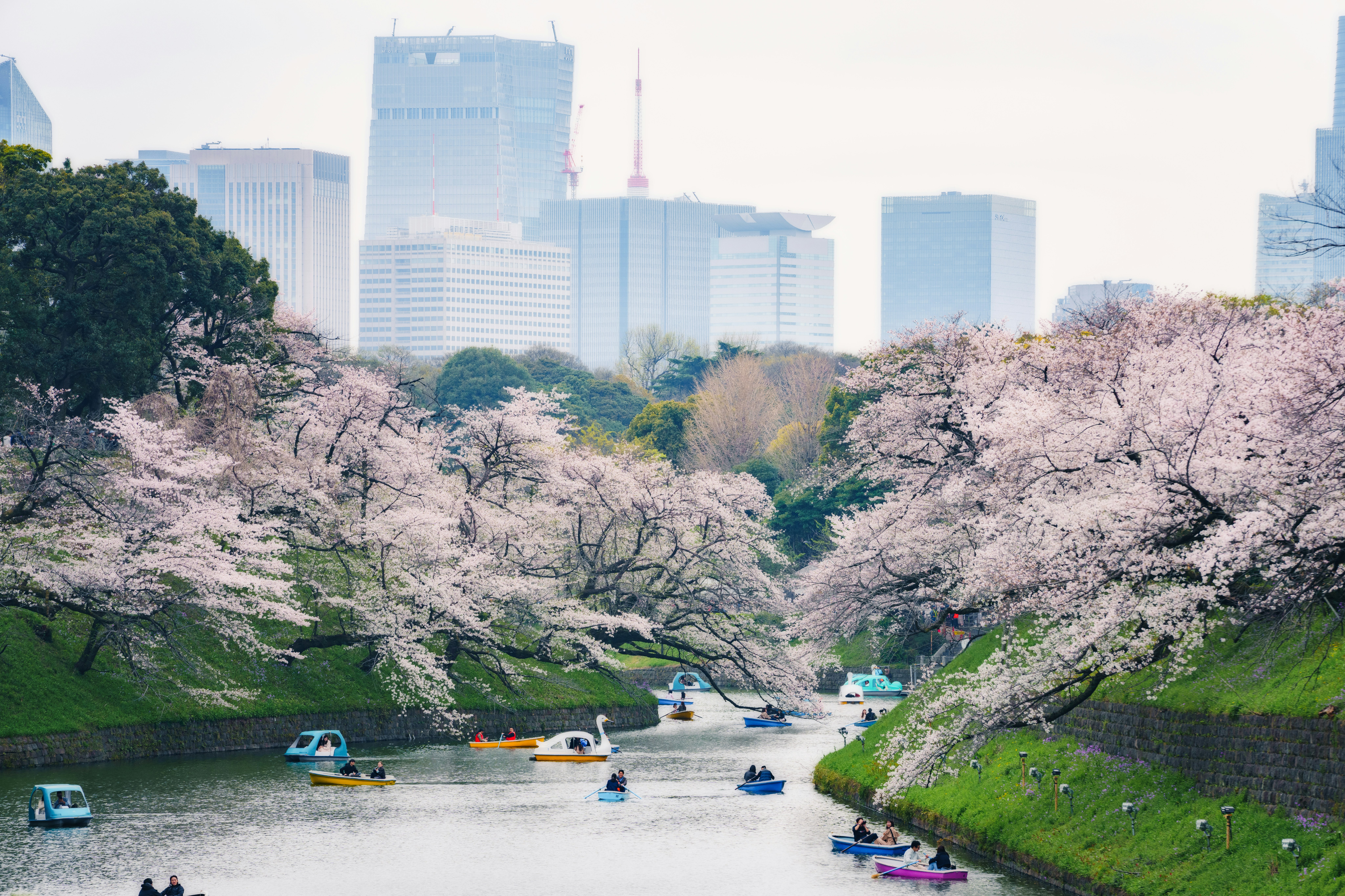 2026-04-ppp-in-tokyo-2-cover-image