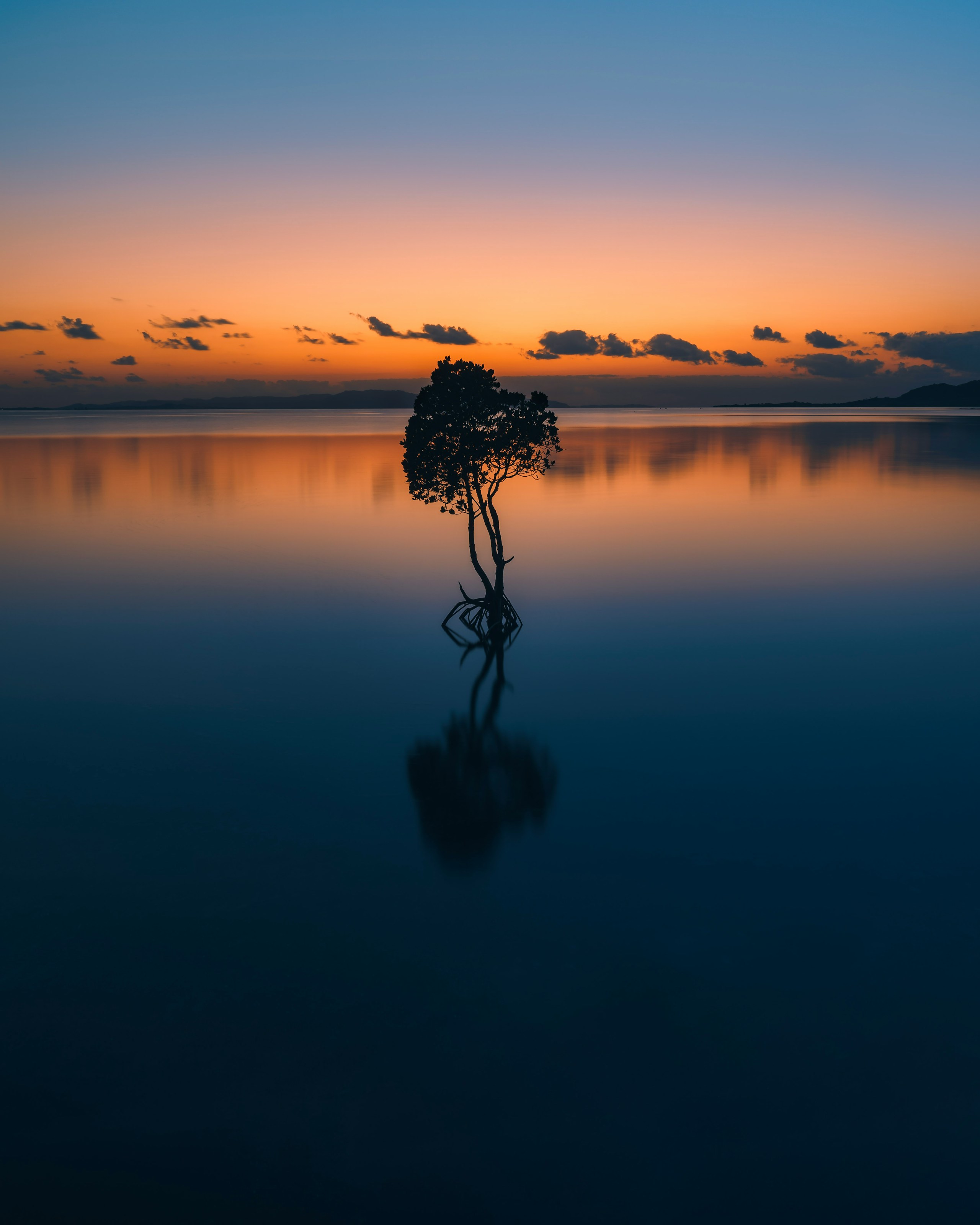 2024-09-modern-minimalism-photography-image-4
