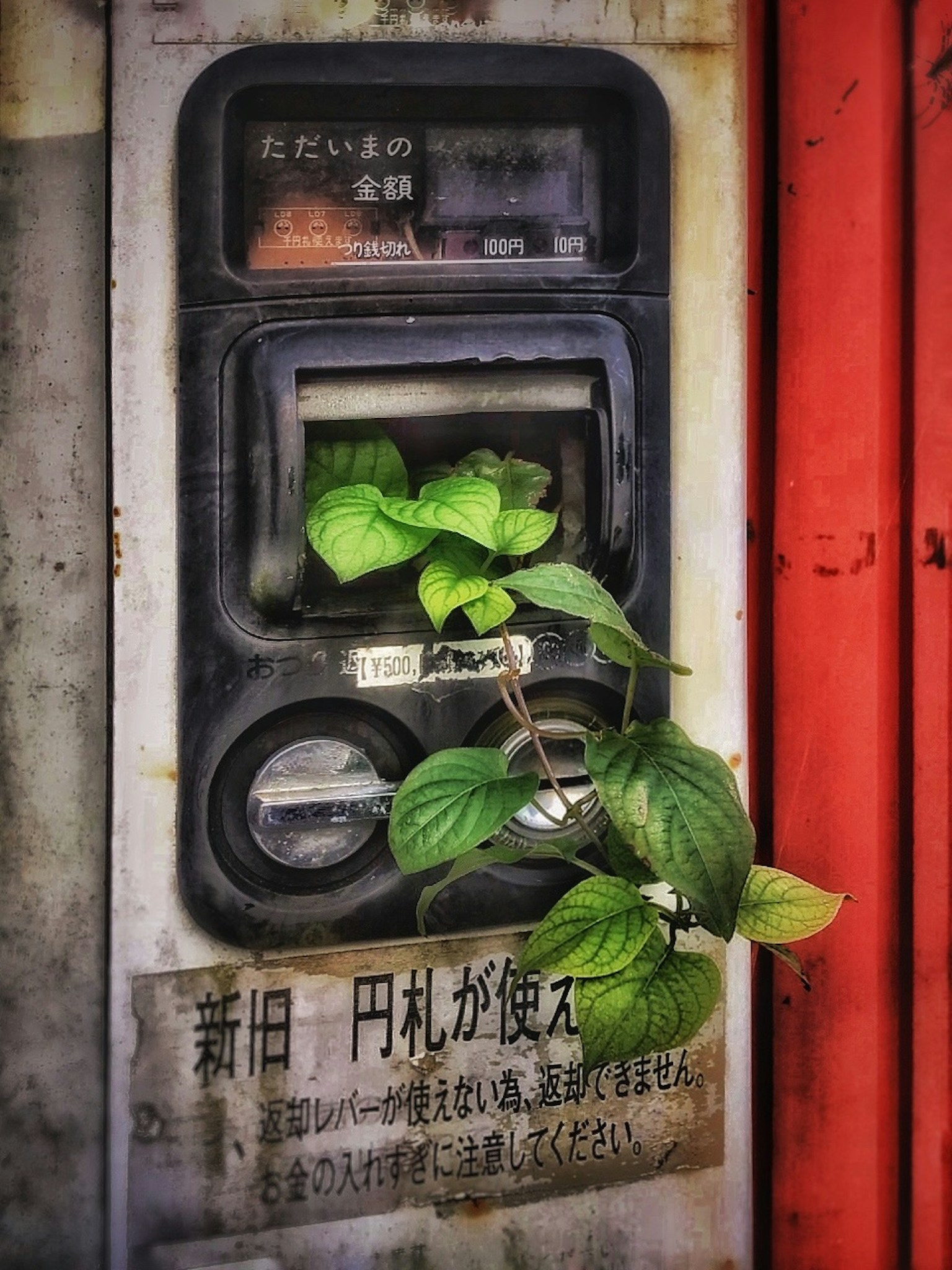 2024-05-fall-into-decay-image-17