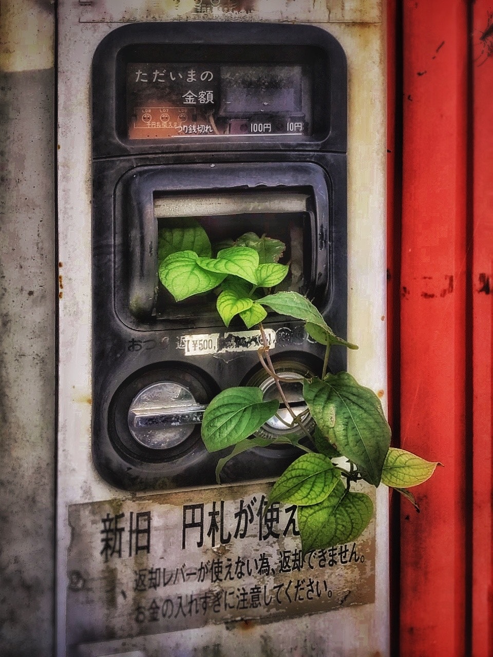 2024-05-fall-into-decay-image-17