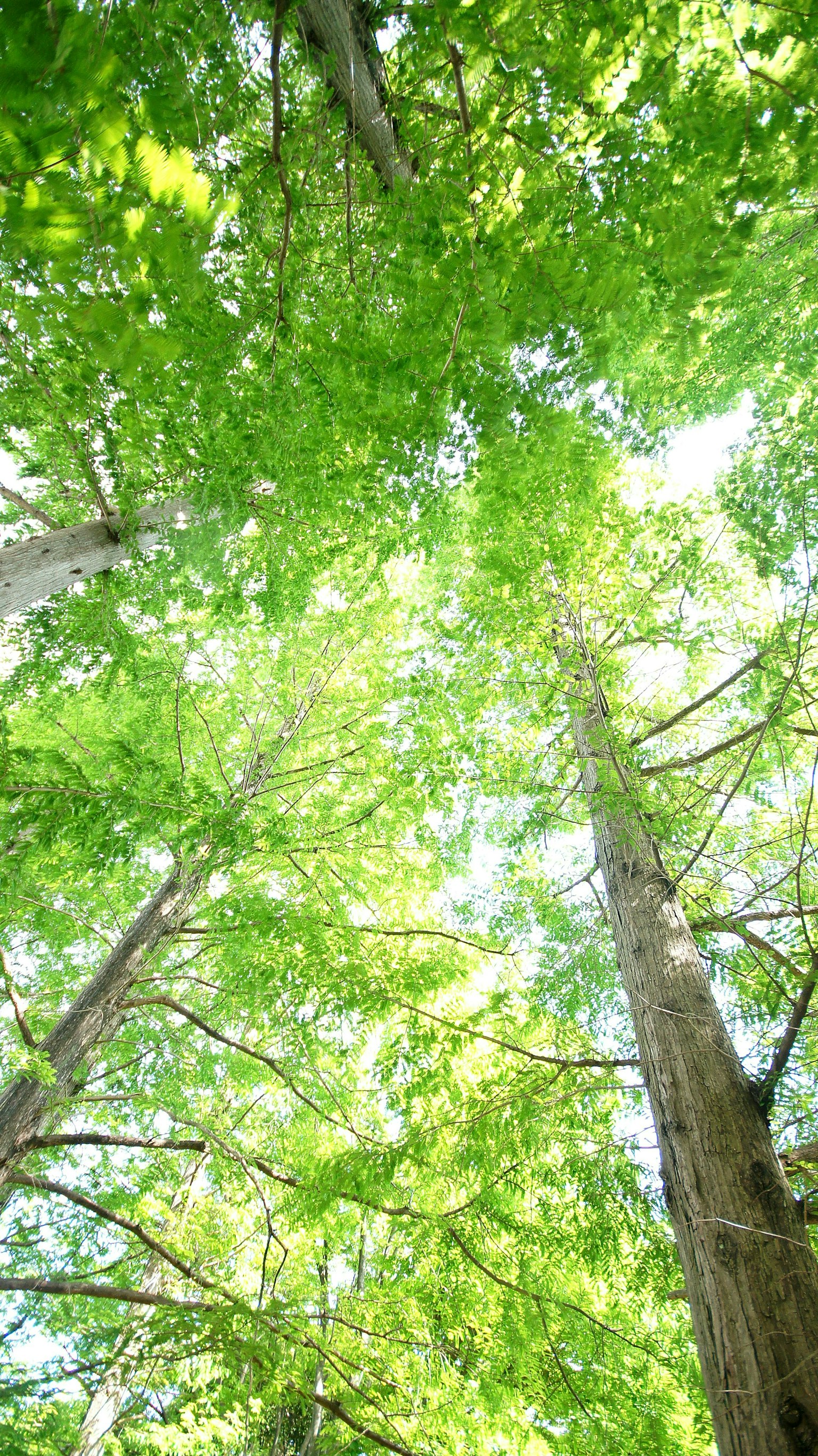 2025-06-summer-image-6