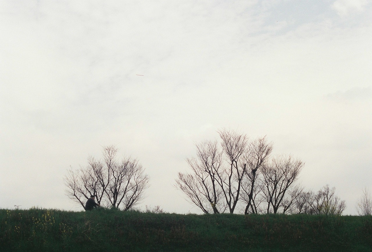 2024-06-film-guideline-image-16