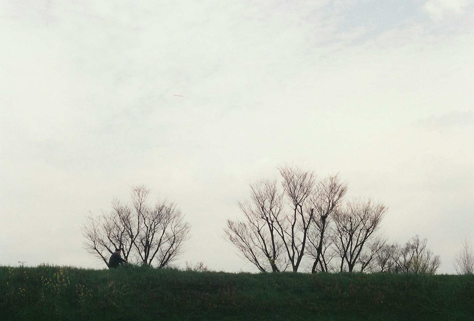 2024-06-film-guideline-image-16