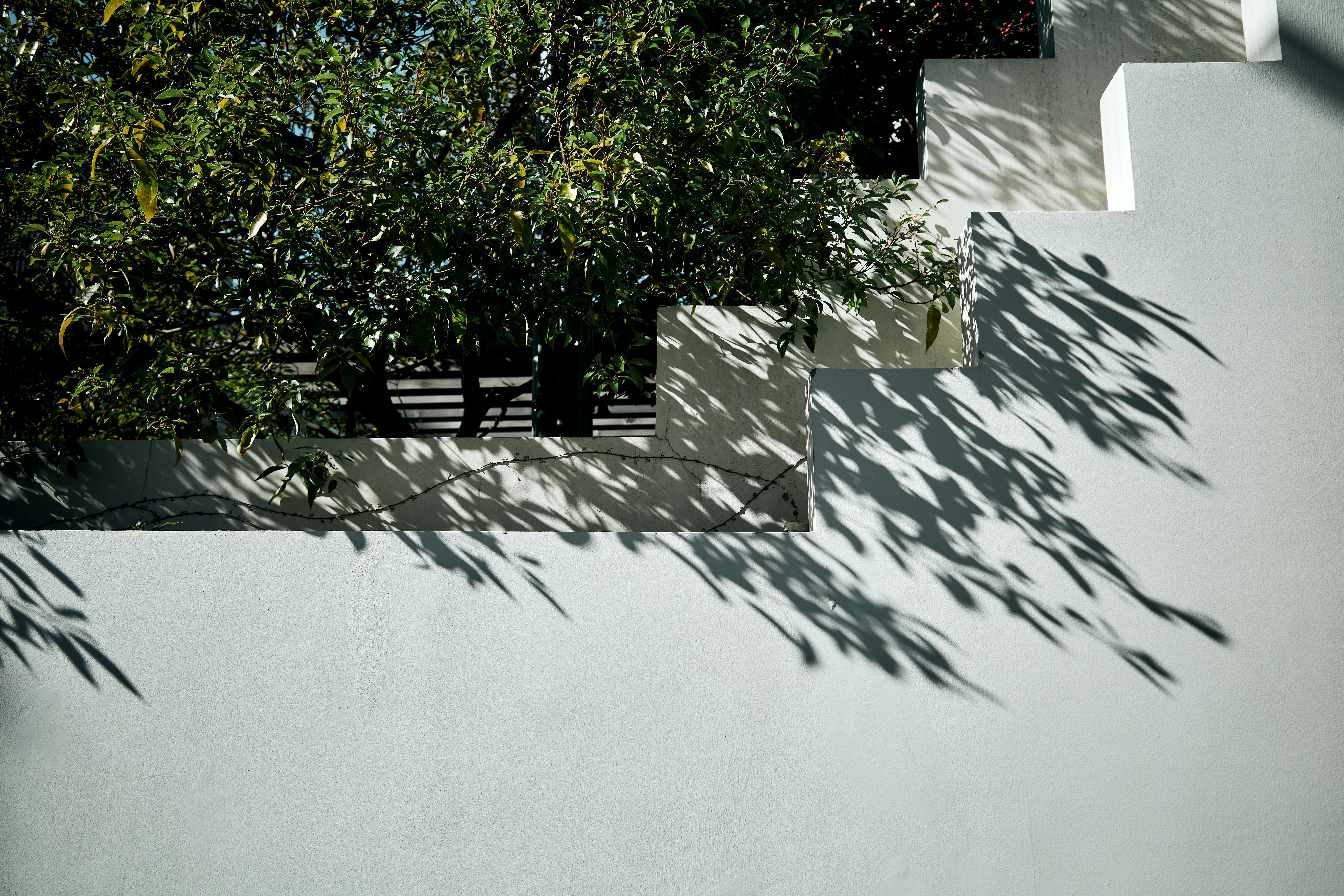 2026-06-green-hours-image-10