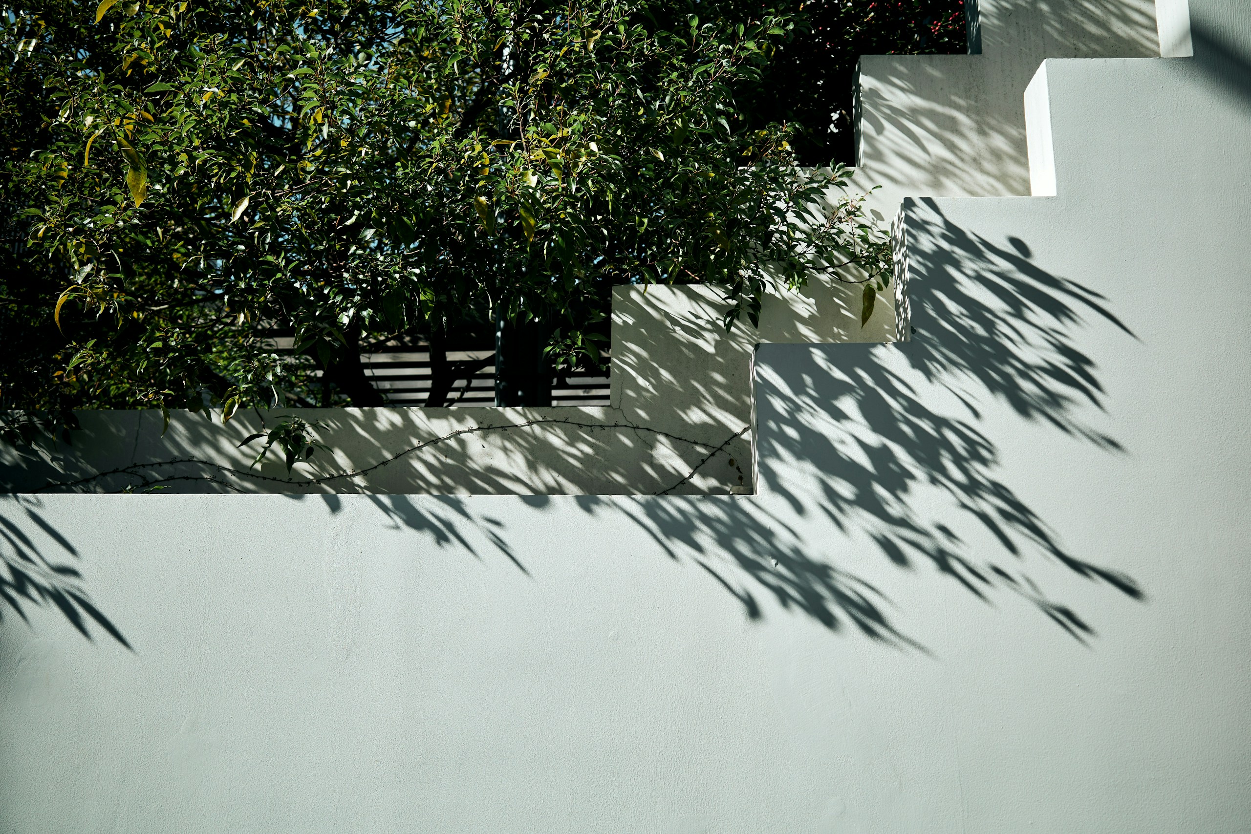 2026-06-green-hours-image-10
