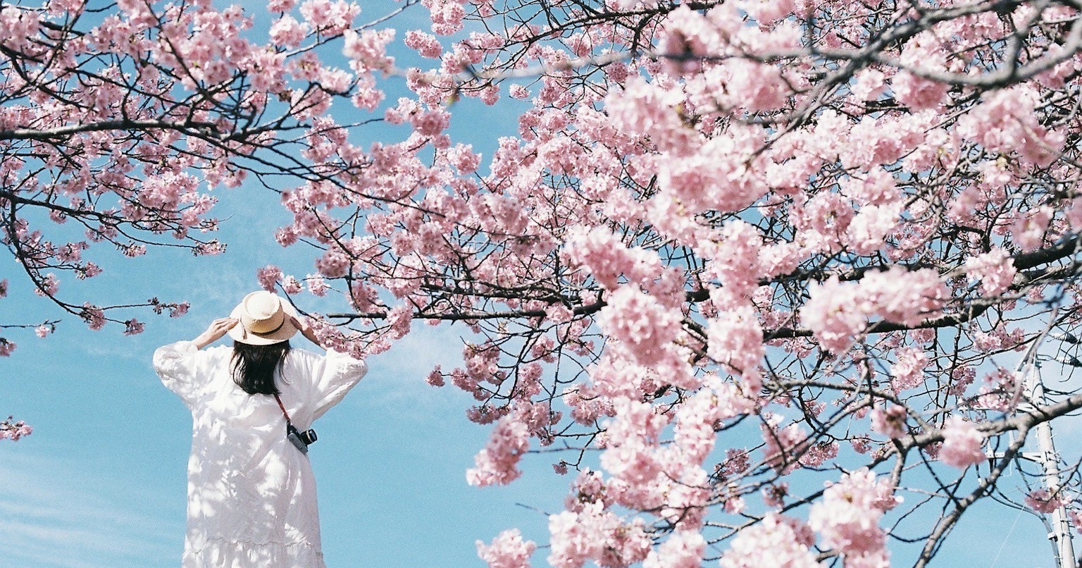 2024-03-kana05-cover-image