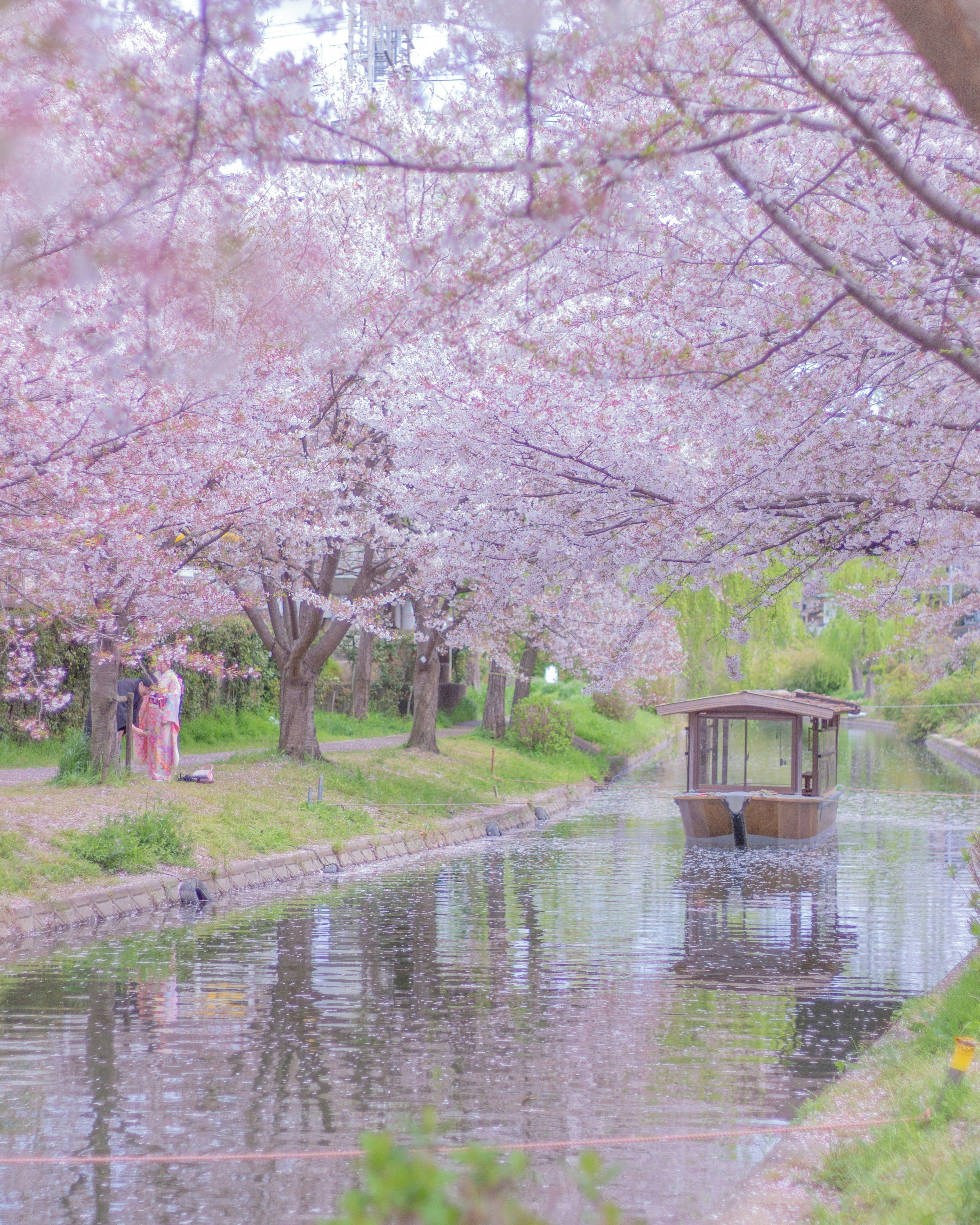 2025-04-spring-image-5