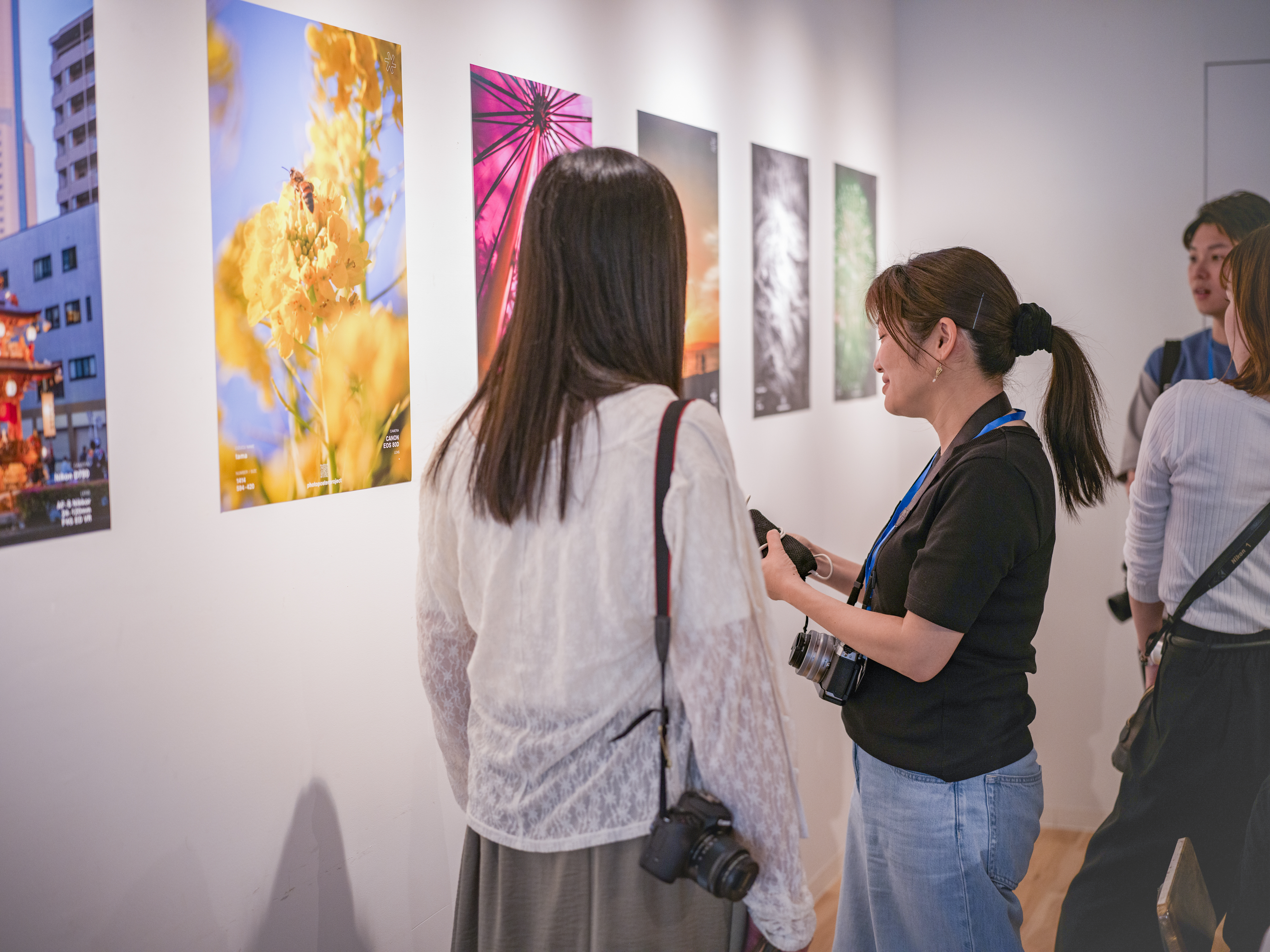 2025-12-ppp-review-by-misa-cover-image