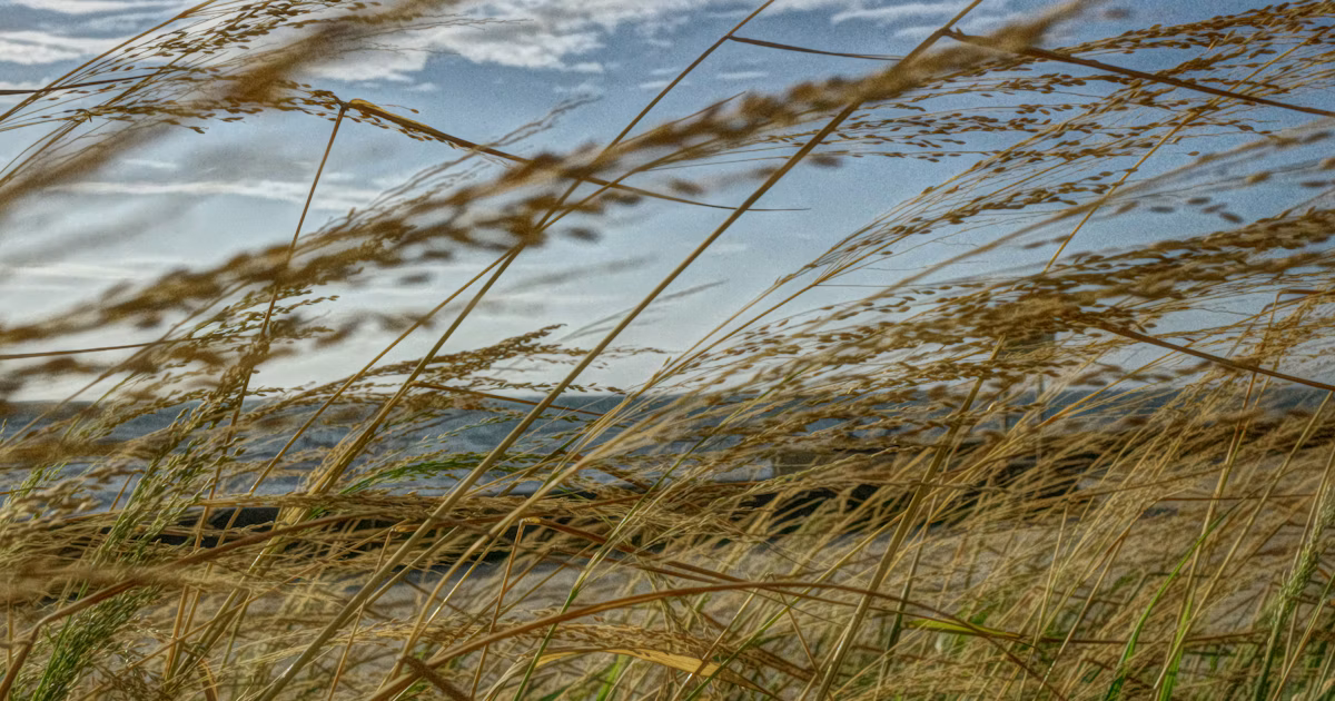 #wind | Den Weg des Windes im Foto festhalten | Focus #759