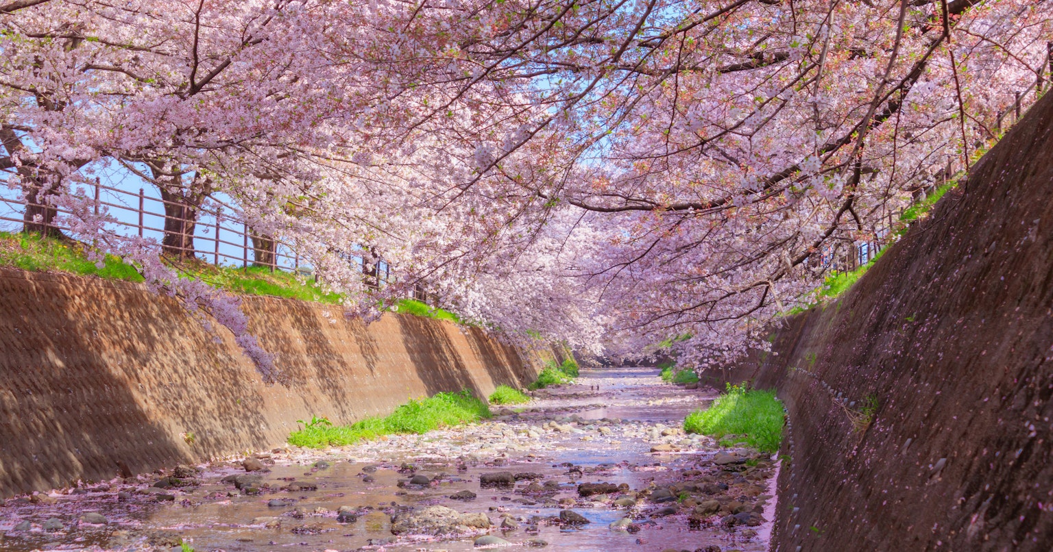 2025-04-april-photography-subjects-cover-image