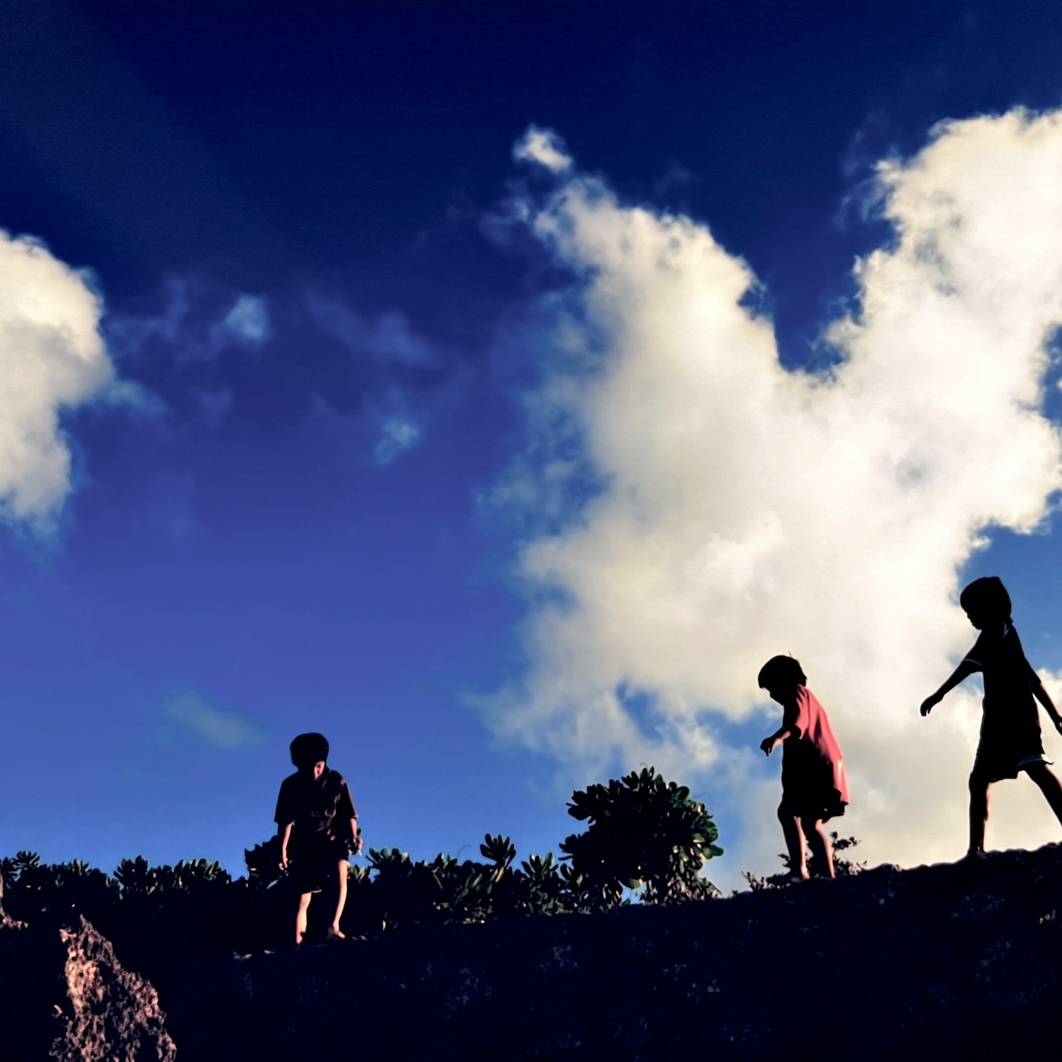 2024-07-blue-cover-image