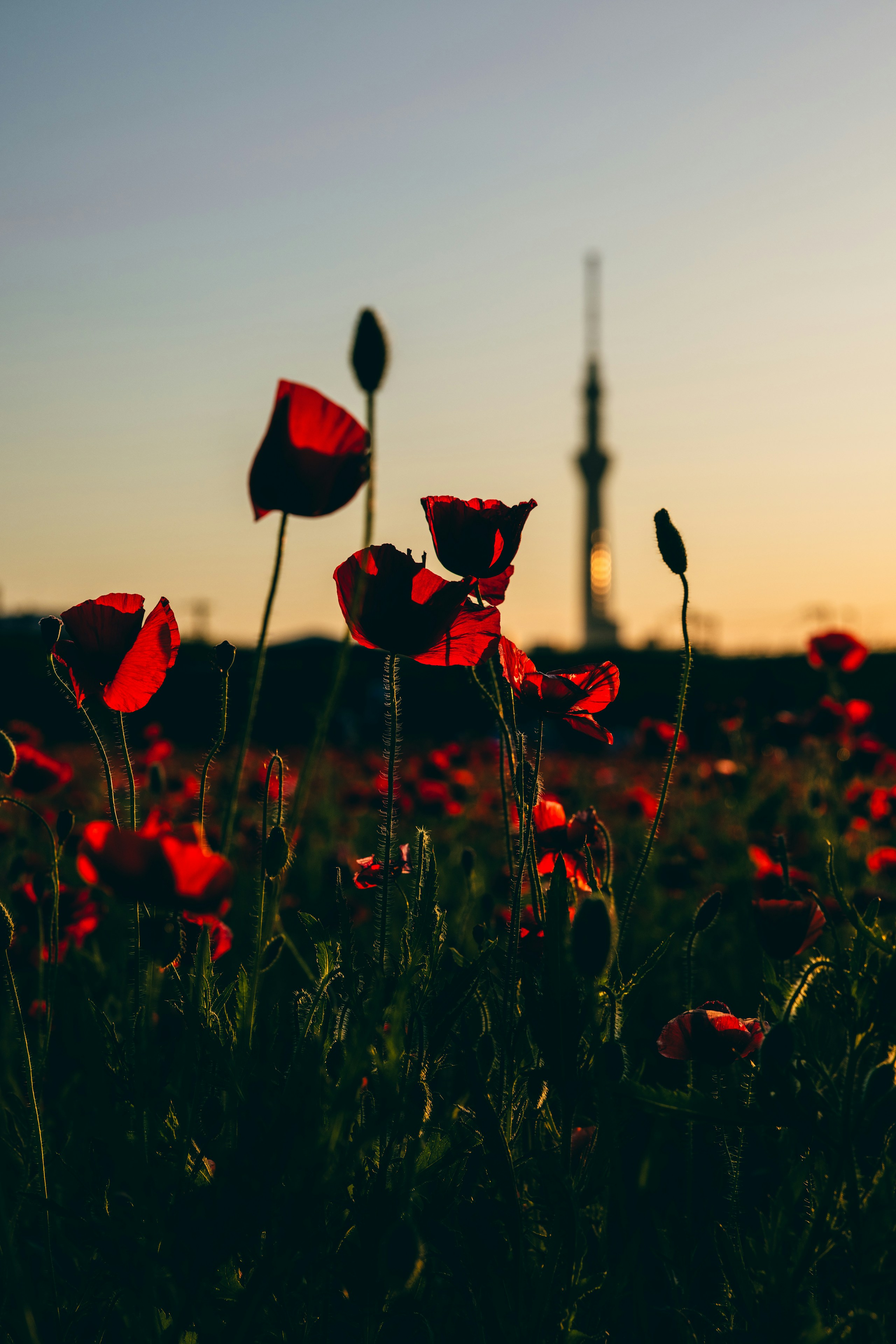 Image by ek_photofeeling