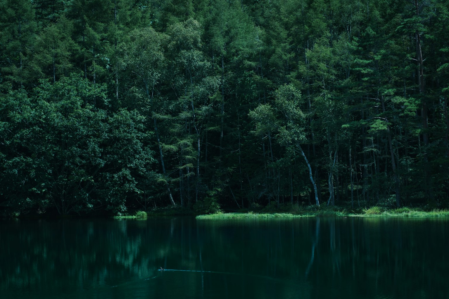 2024-04-water-image-19