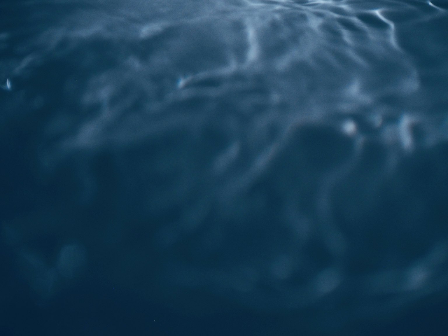 2023-07-capture-your-emotion-award-image-14