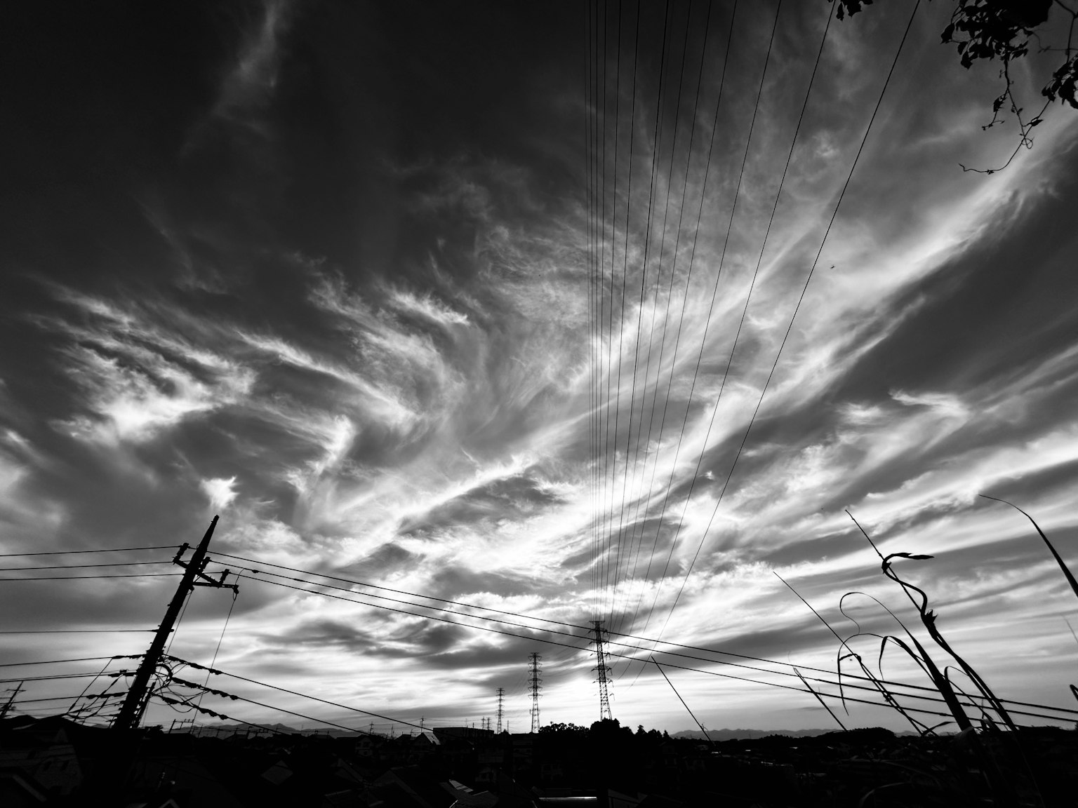 2024-06-summer-monochorme-image-4