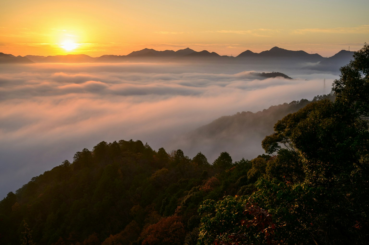 2025-03-encounter-with-camera-image-23