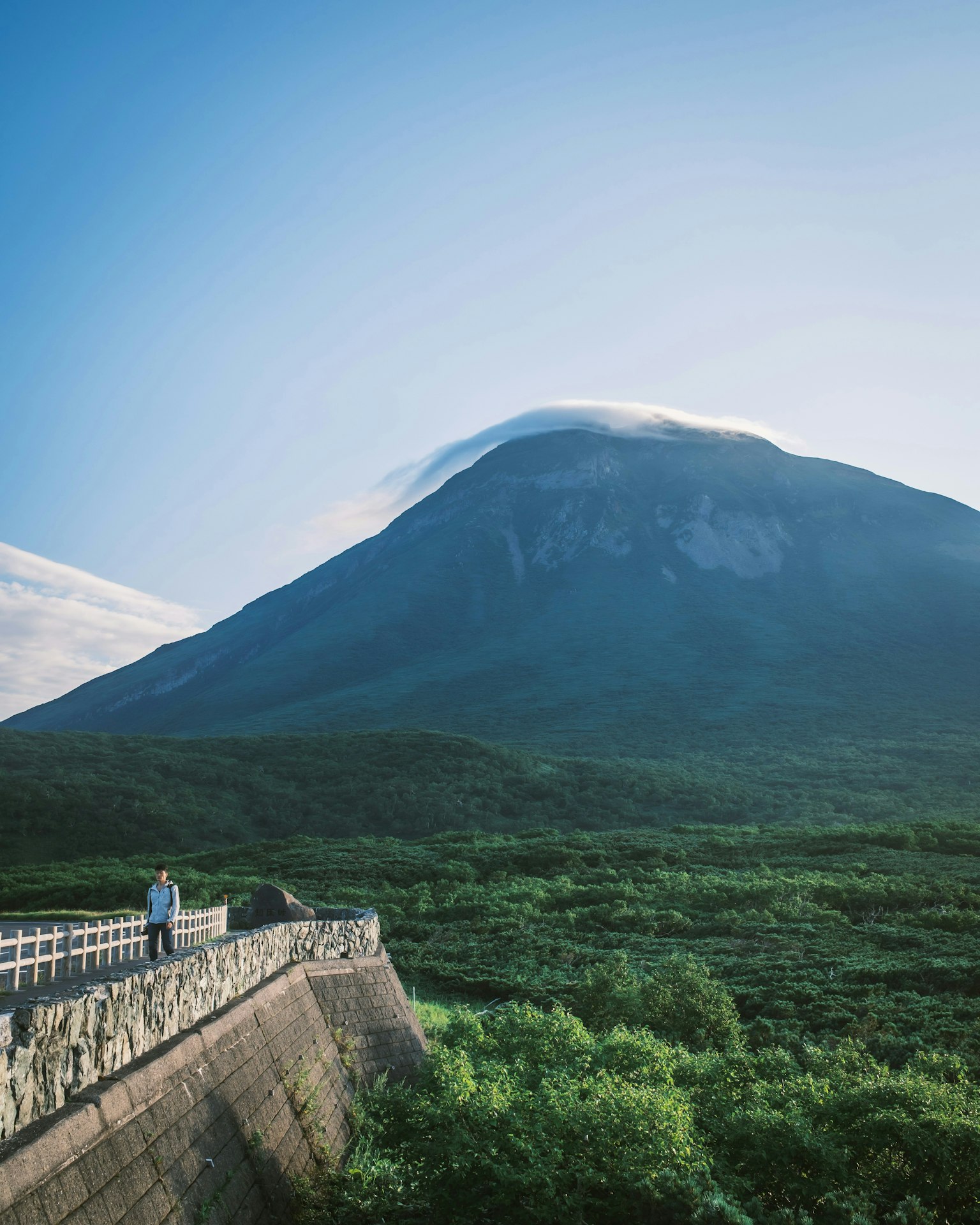 2025-11-pick-up-photos-no-239-243-image-11