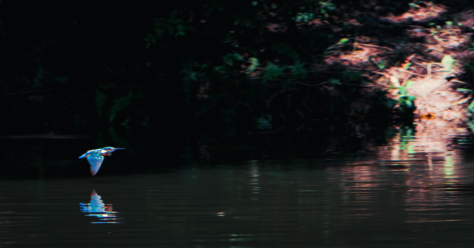 2024-11-moment-report-cover-image