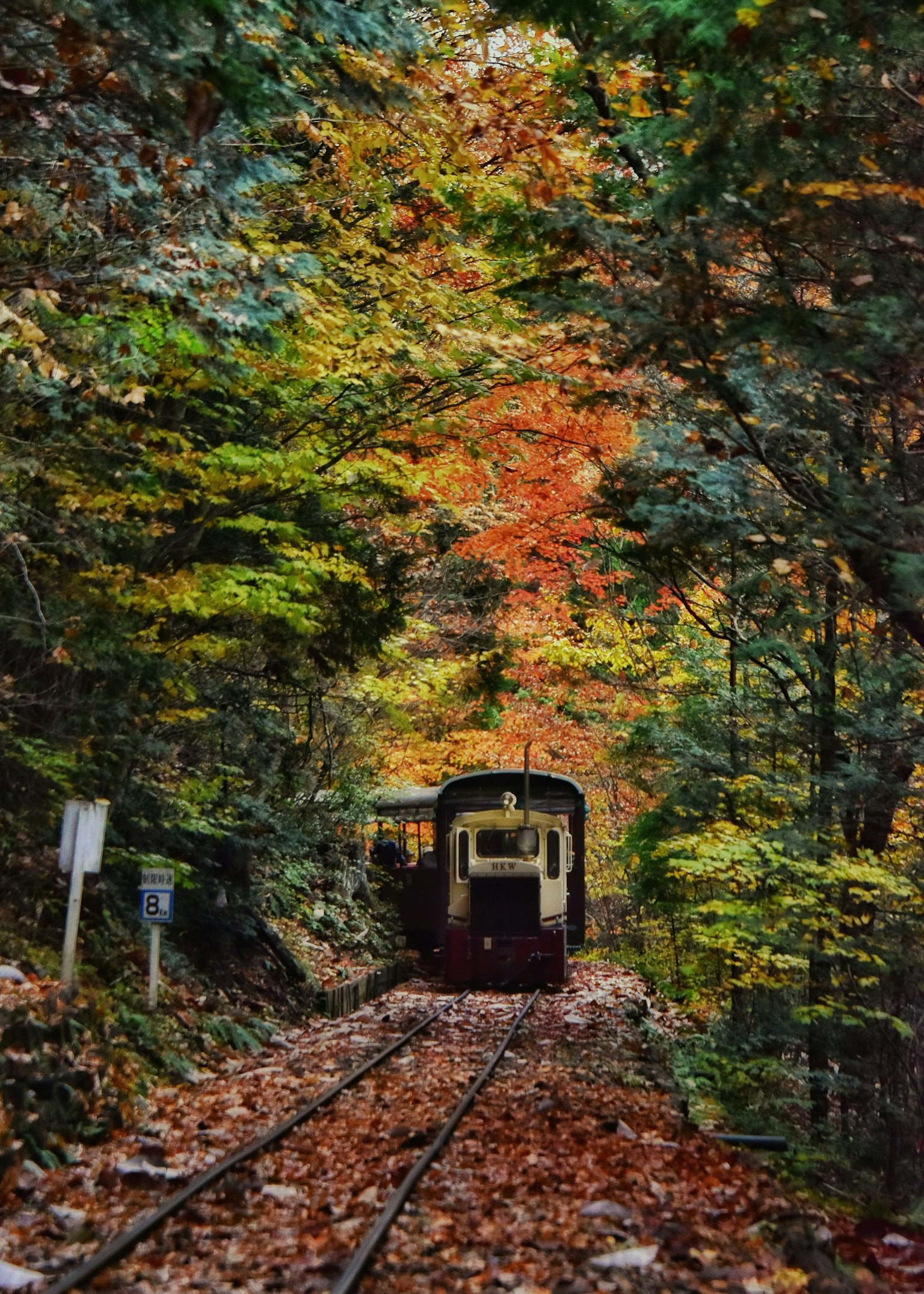 2025-11-photo-contest-pr-image-19