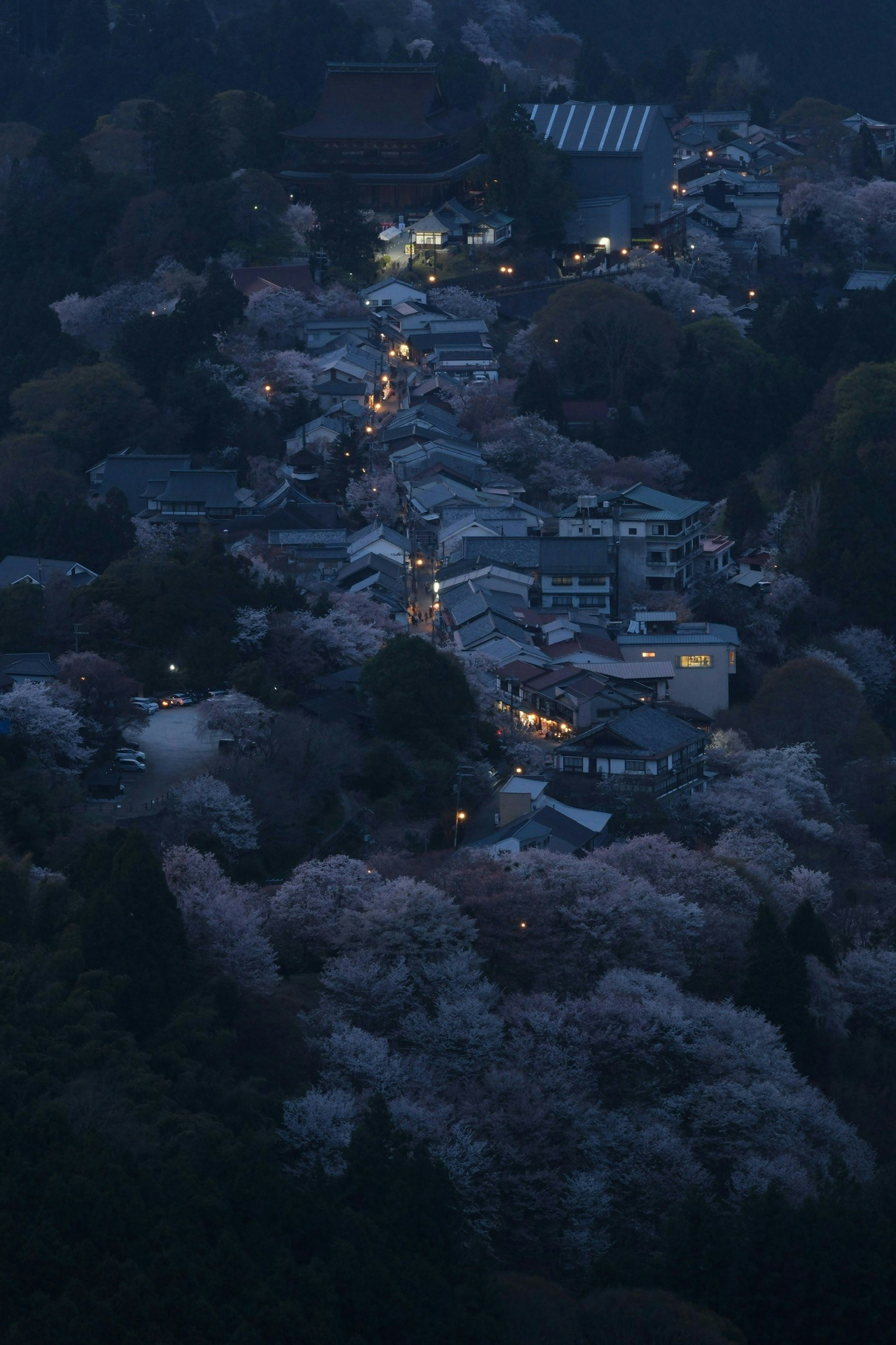 2025-11-tripod-photo-expression-image-4