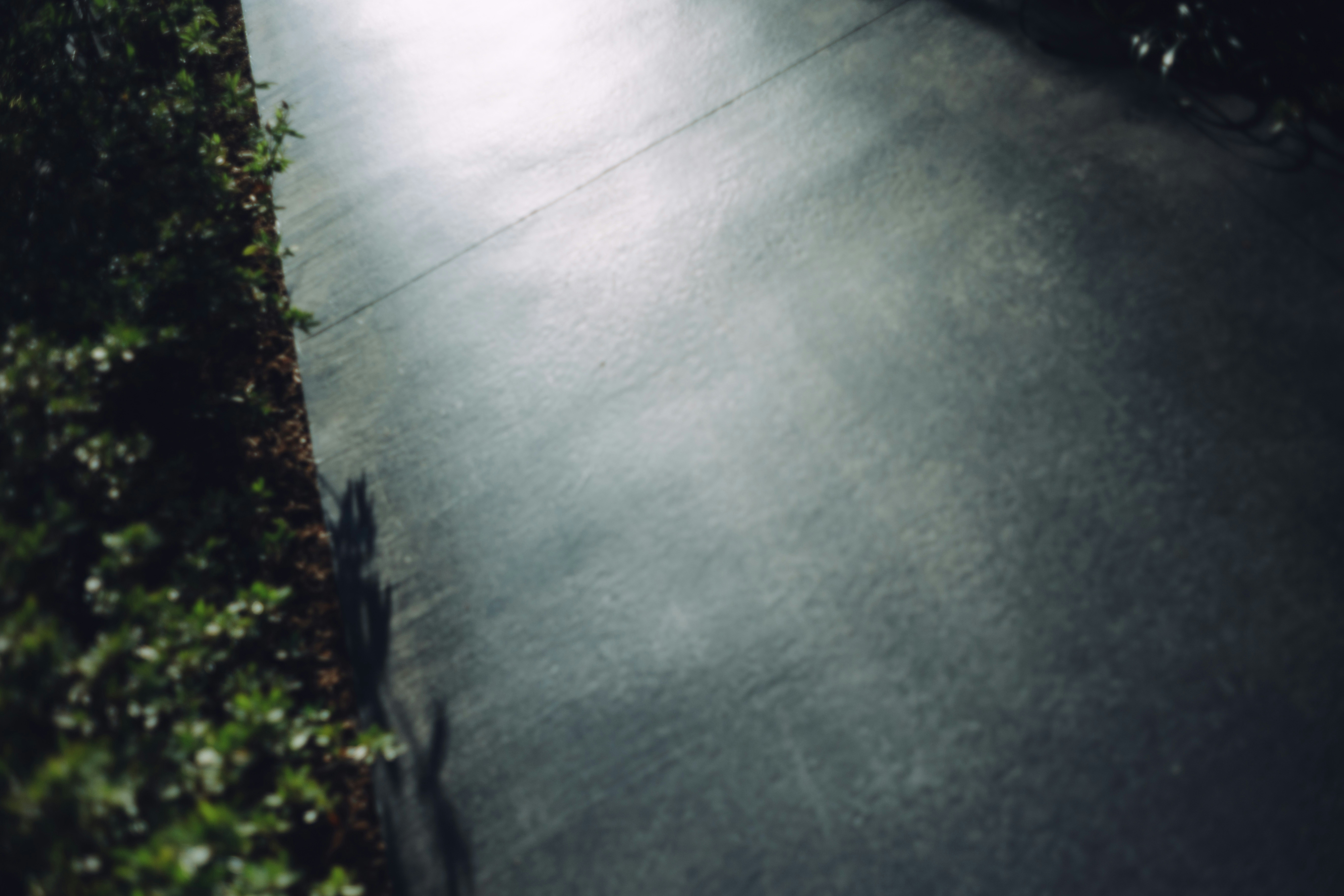 2026-08-what-photography-leaves-behind-cover-image