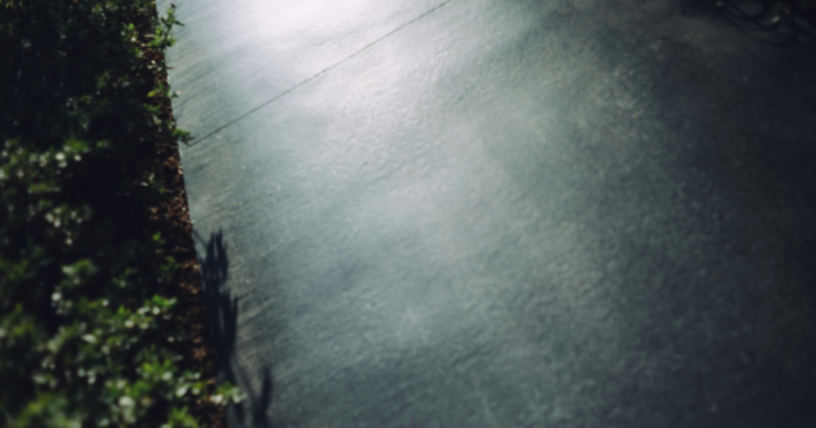 画像がいくらでも作れる時代に、写真が残せるもの | Focus #717