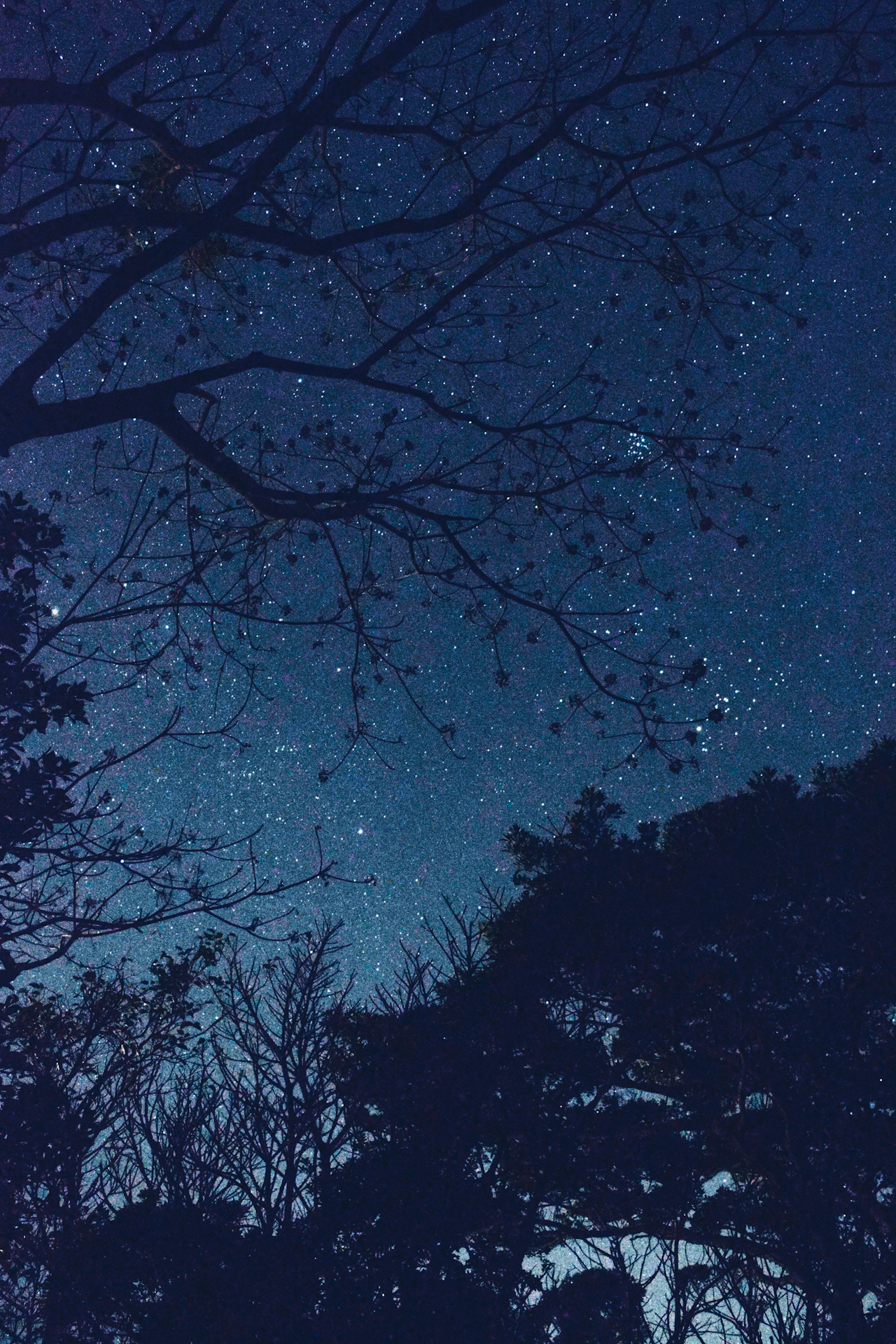 Image by bikkya