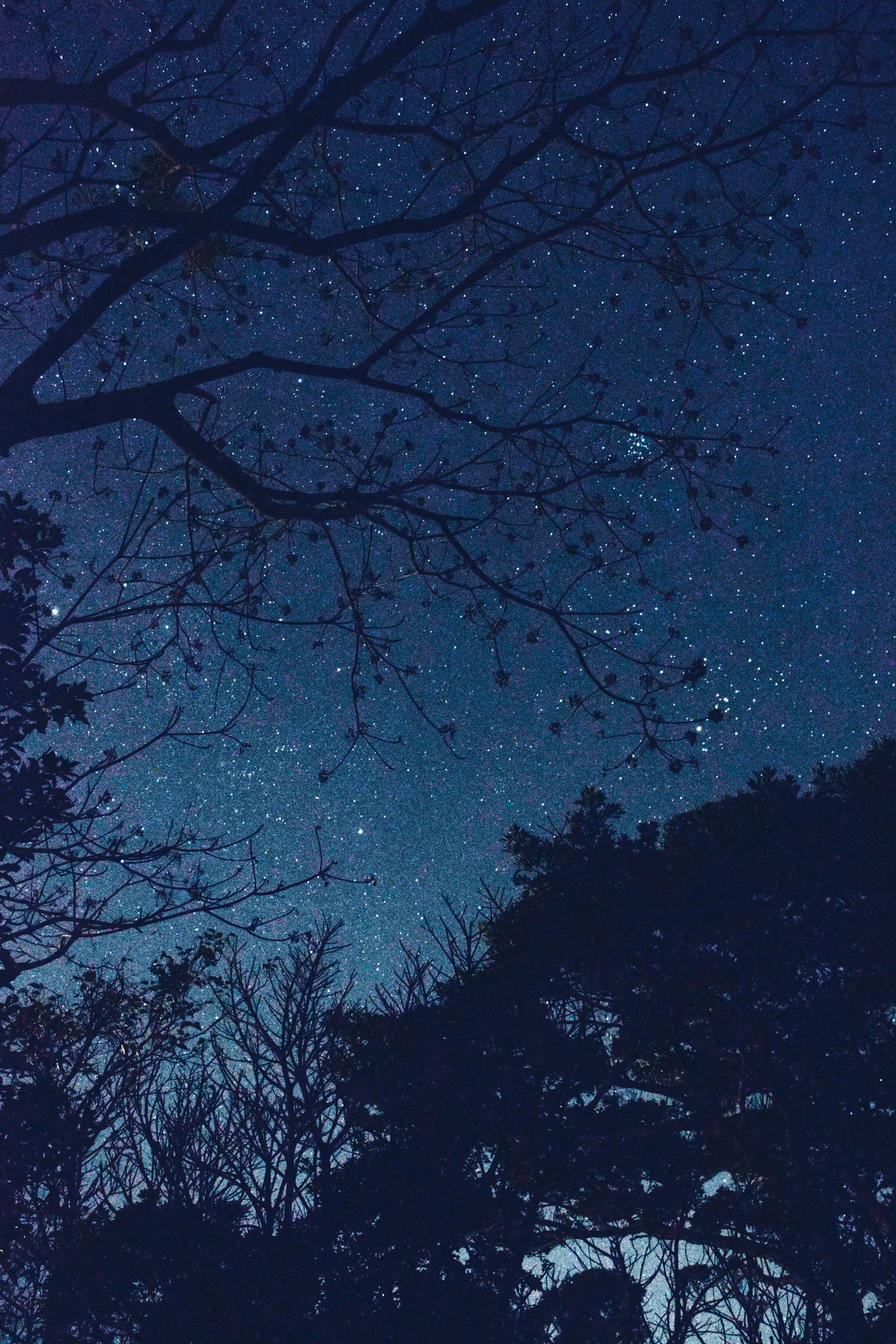 2024-03-frozen-sky-image-8