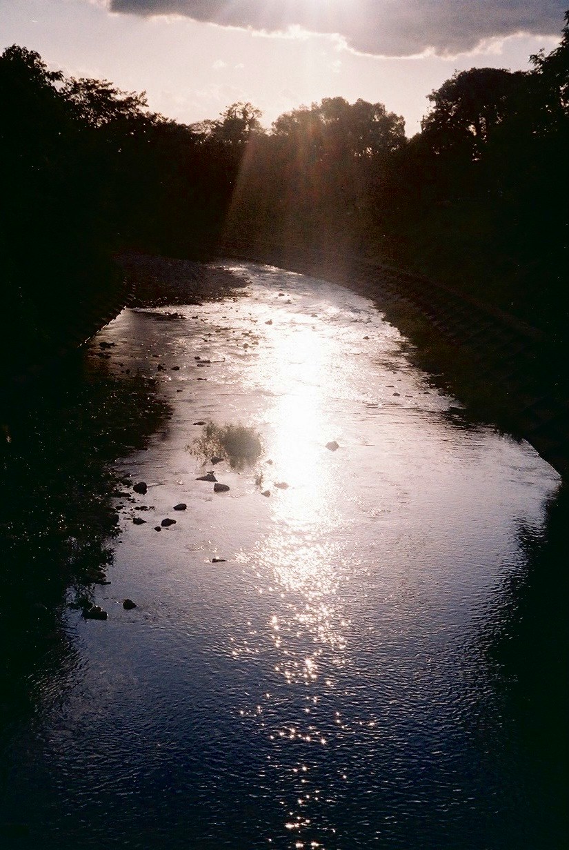 Image by fumi