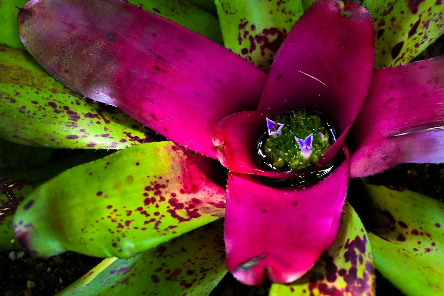 2024-02-sakai-colorful-journey-award-image-15