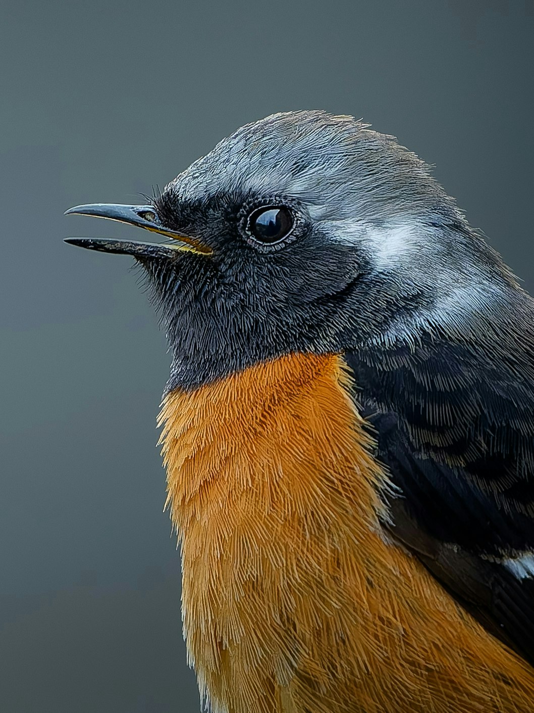 2025-04-masa-10-questions-image-11