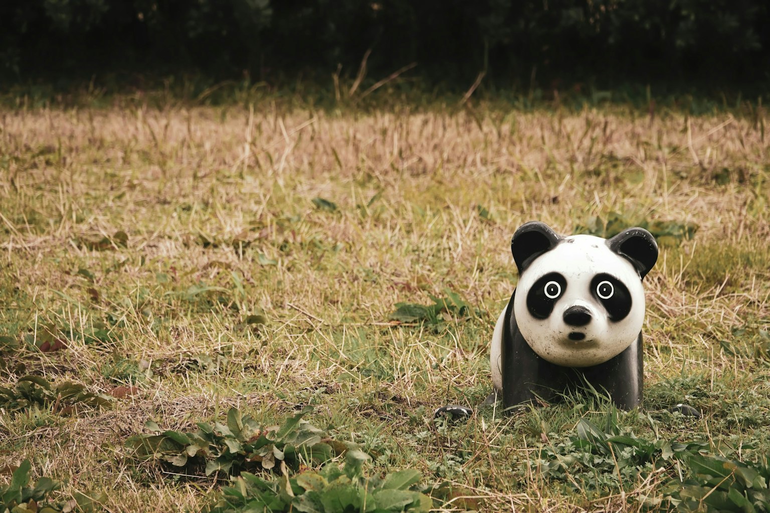 2025-07-spotlight-kohaku-tsubasamfg-uhe-image-10