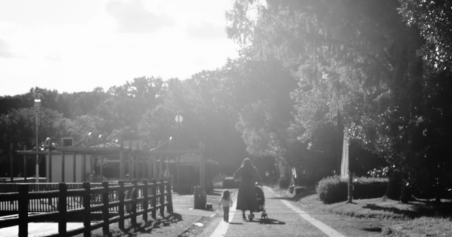 2024-11-halation-on-film-cover-image